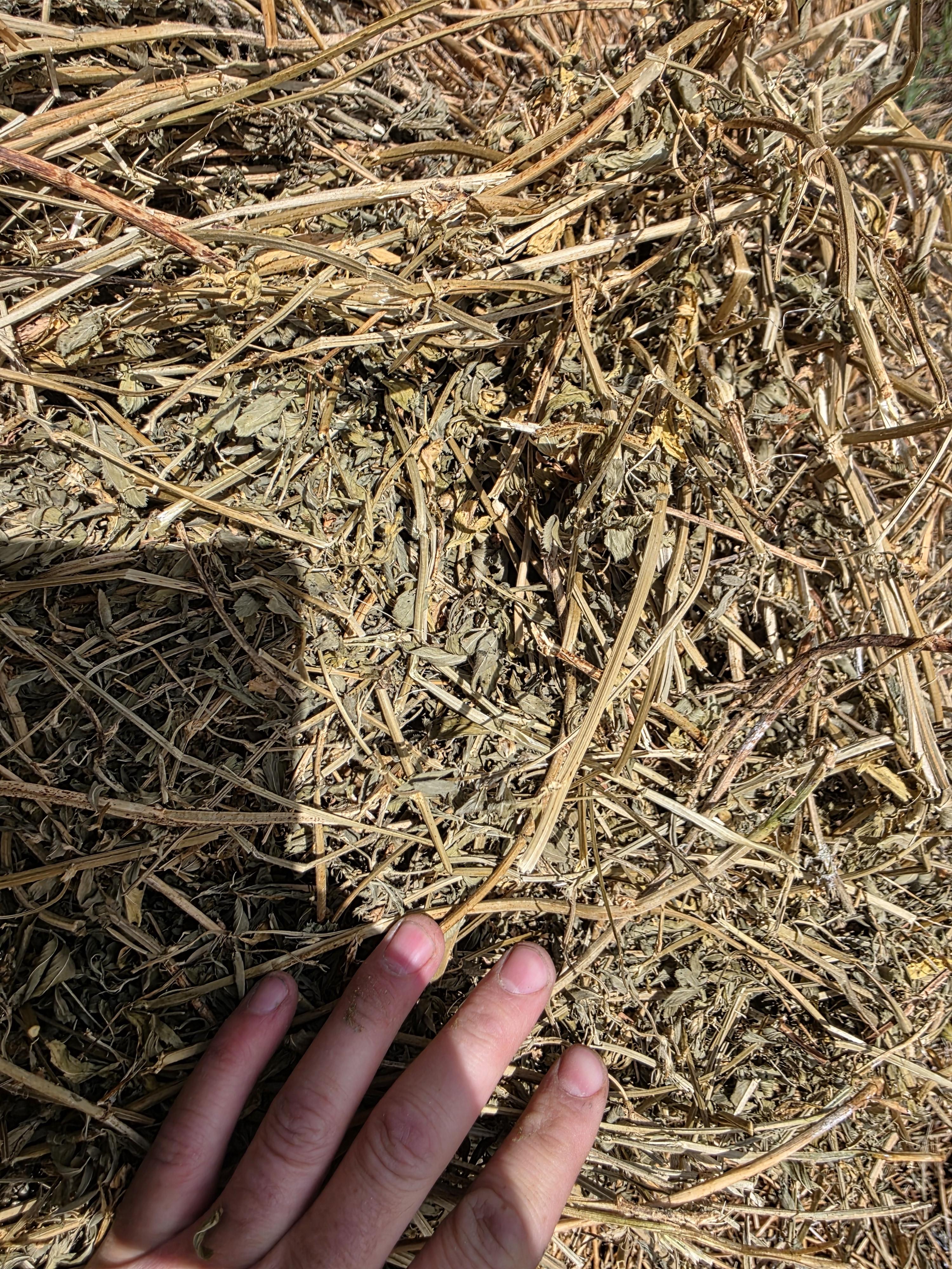 104 Alfalfa Rounds – Image 6