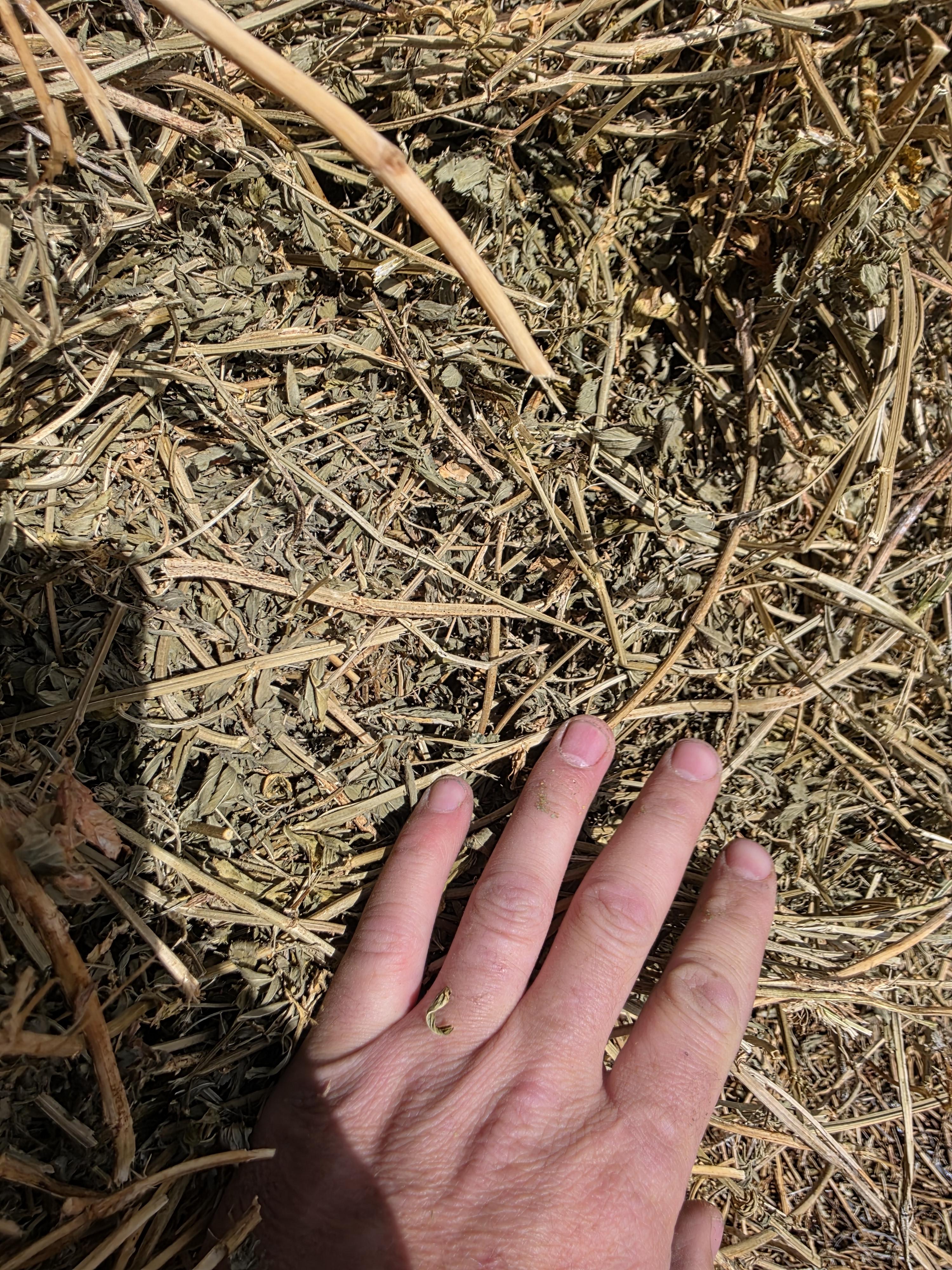 104 Alfalfa Rounds – Image 5