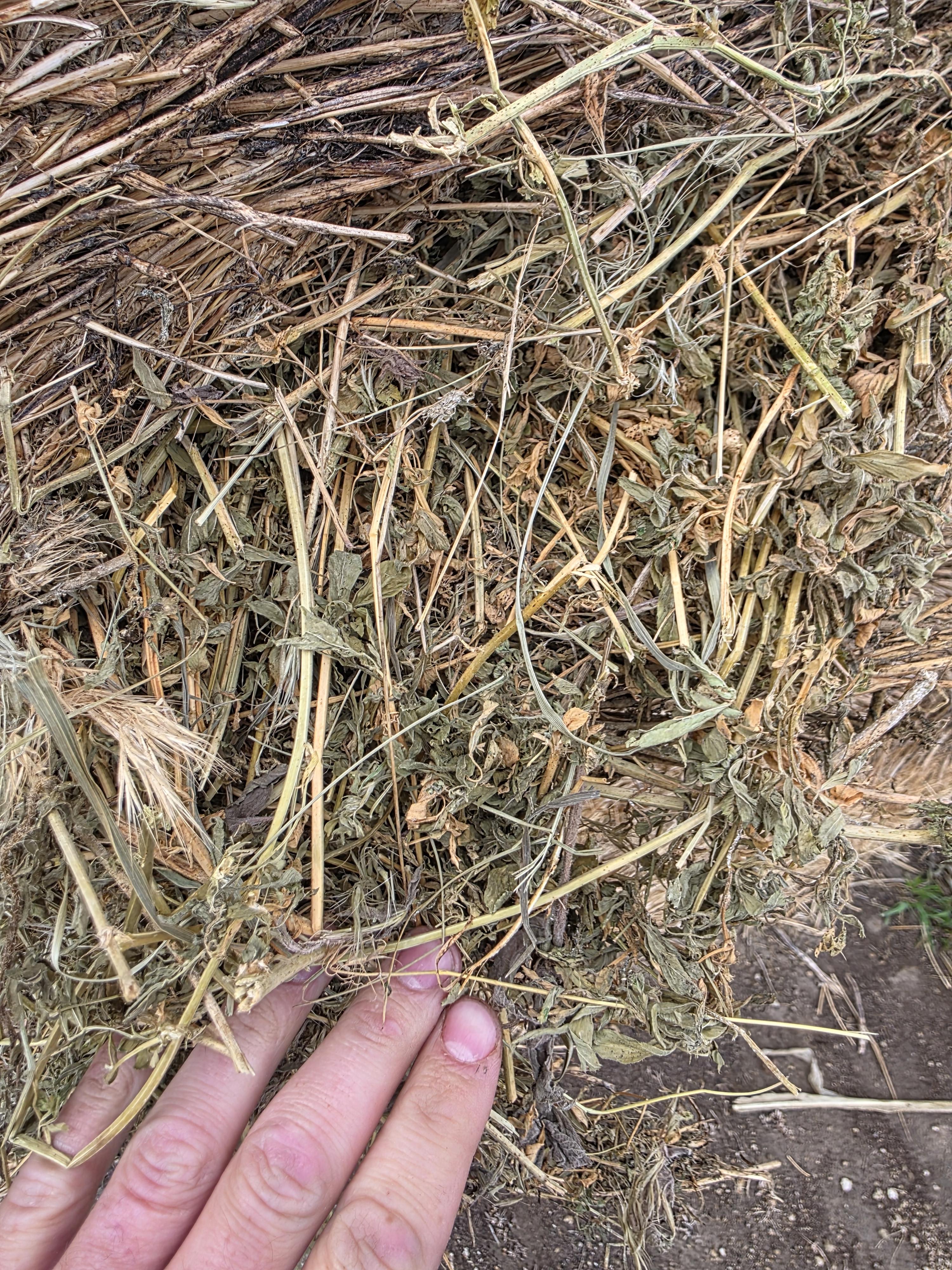 100 Alfalfa/Grass Mix Rounds – Image 2