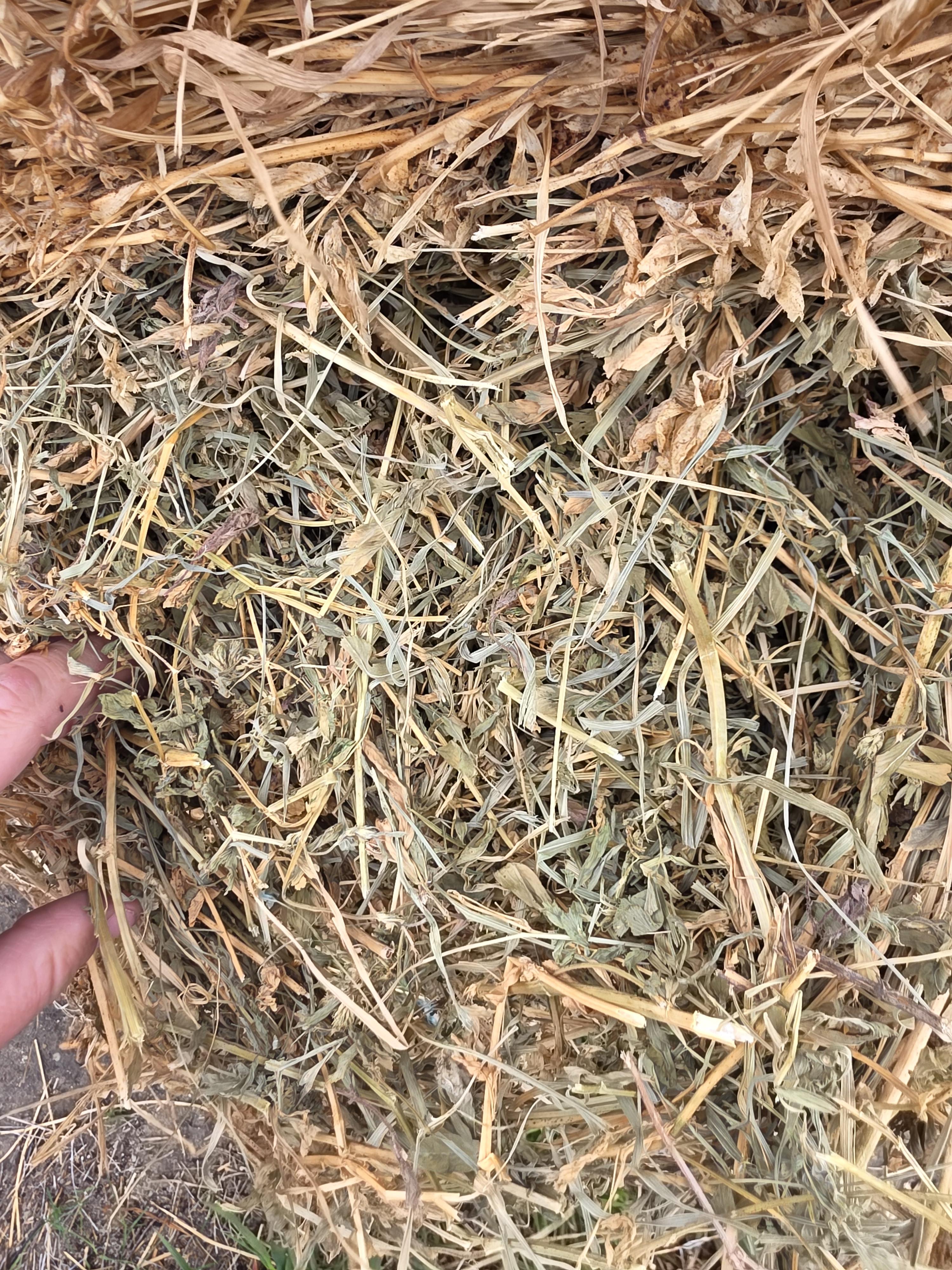 100 Alfalfa/Grass Mix Rounds – Image 3