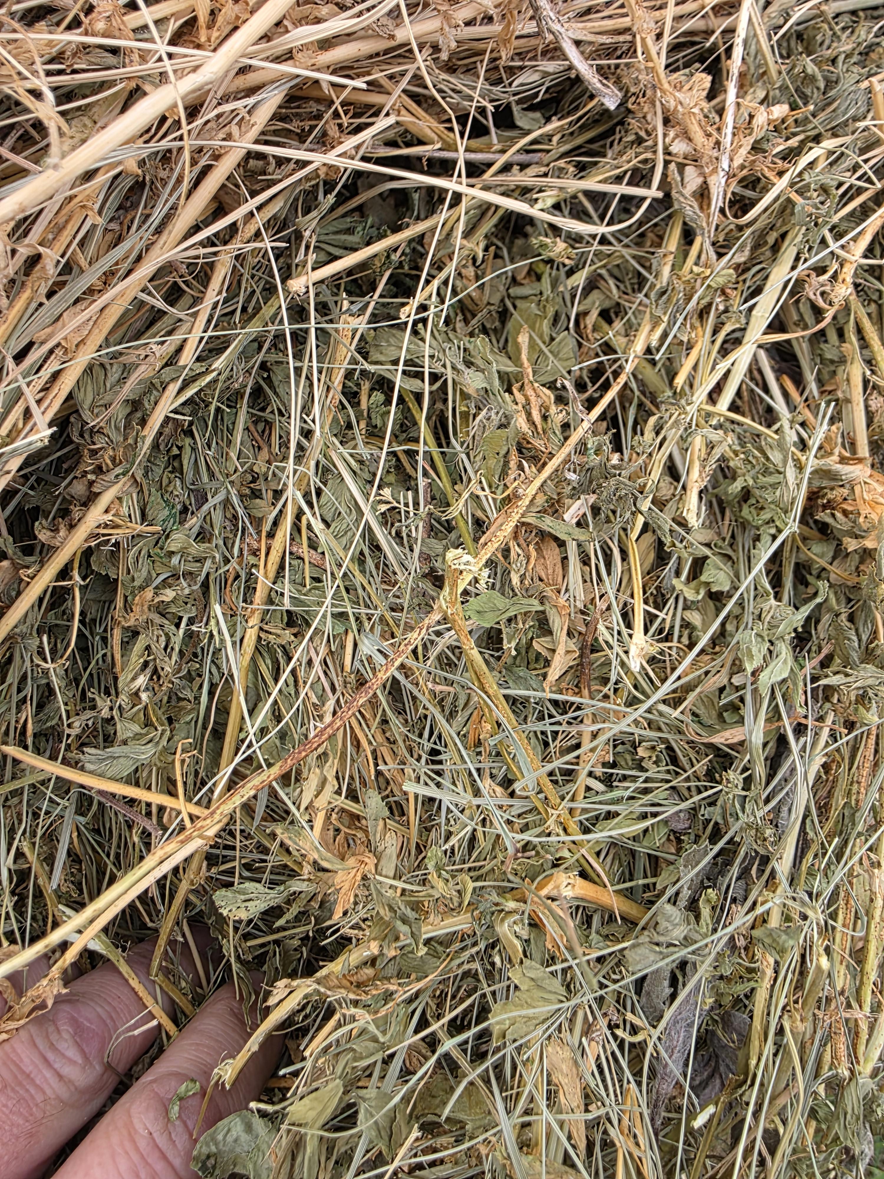 100 Alfalfa/Grass Mix Rounds – Image 4