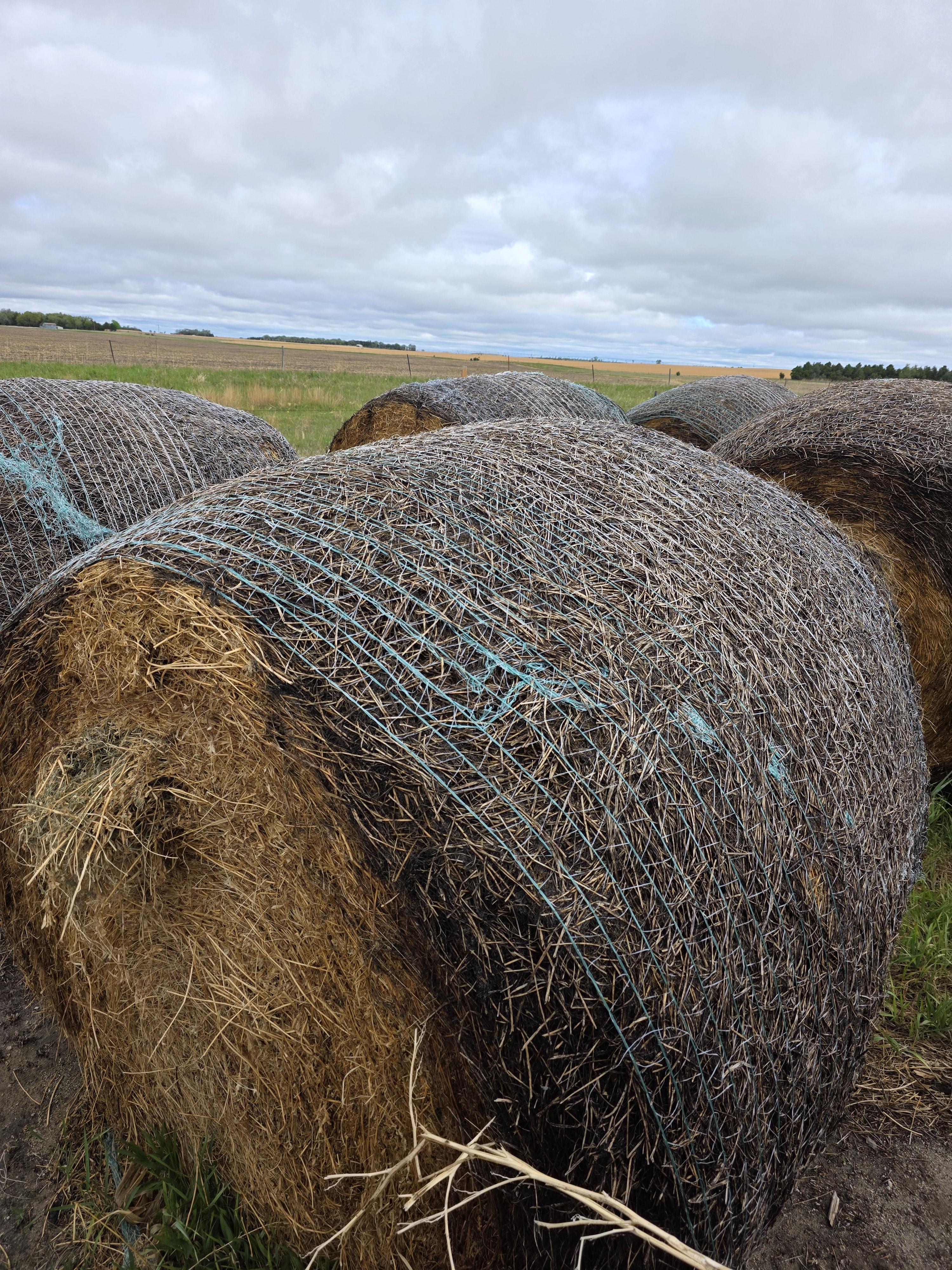 100 Alfalfa/Grass Mix Rounds – Image 7