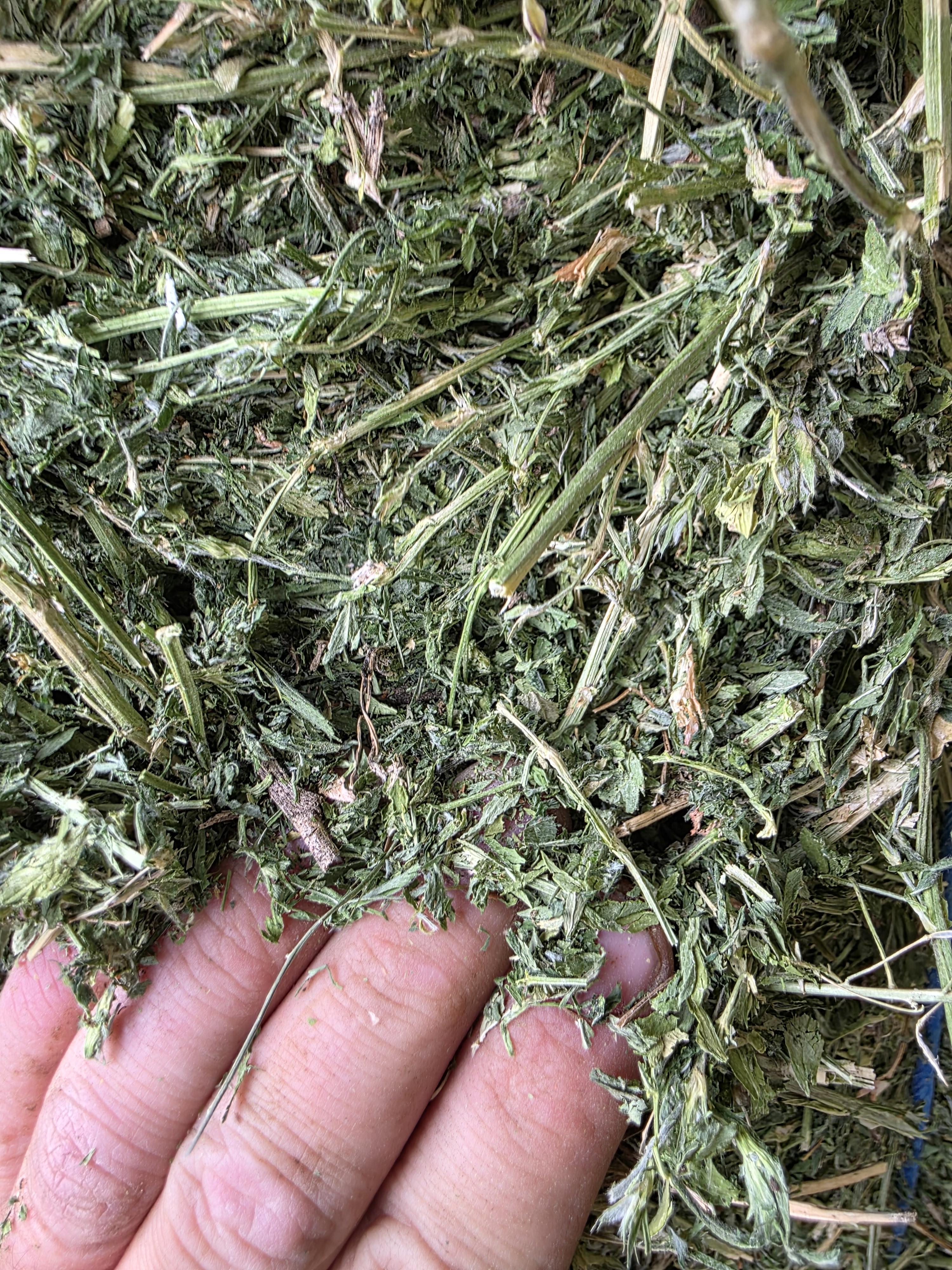 503 Small Square 2 String Bundles Great Alfalfa – Image 1