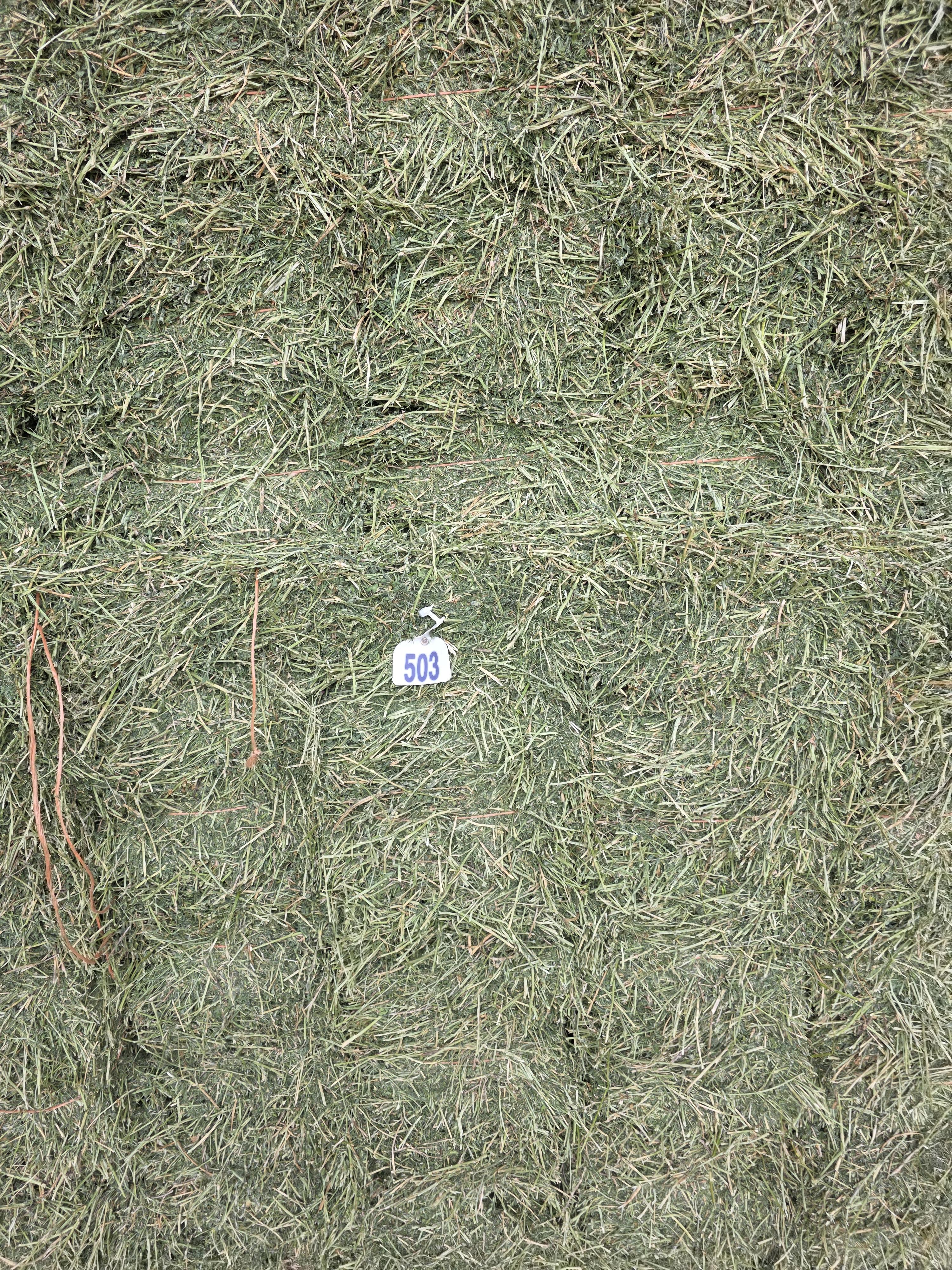 503 Small Square 2 String Bundles Great Alfalfa – Image 6