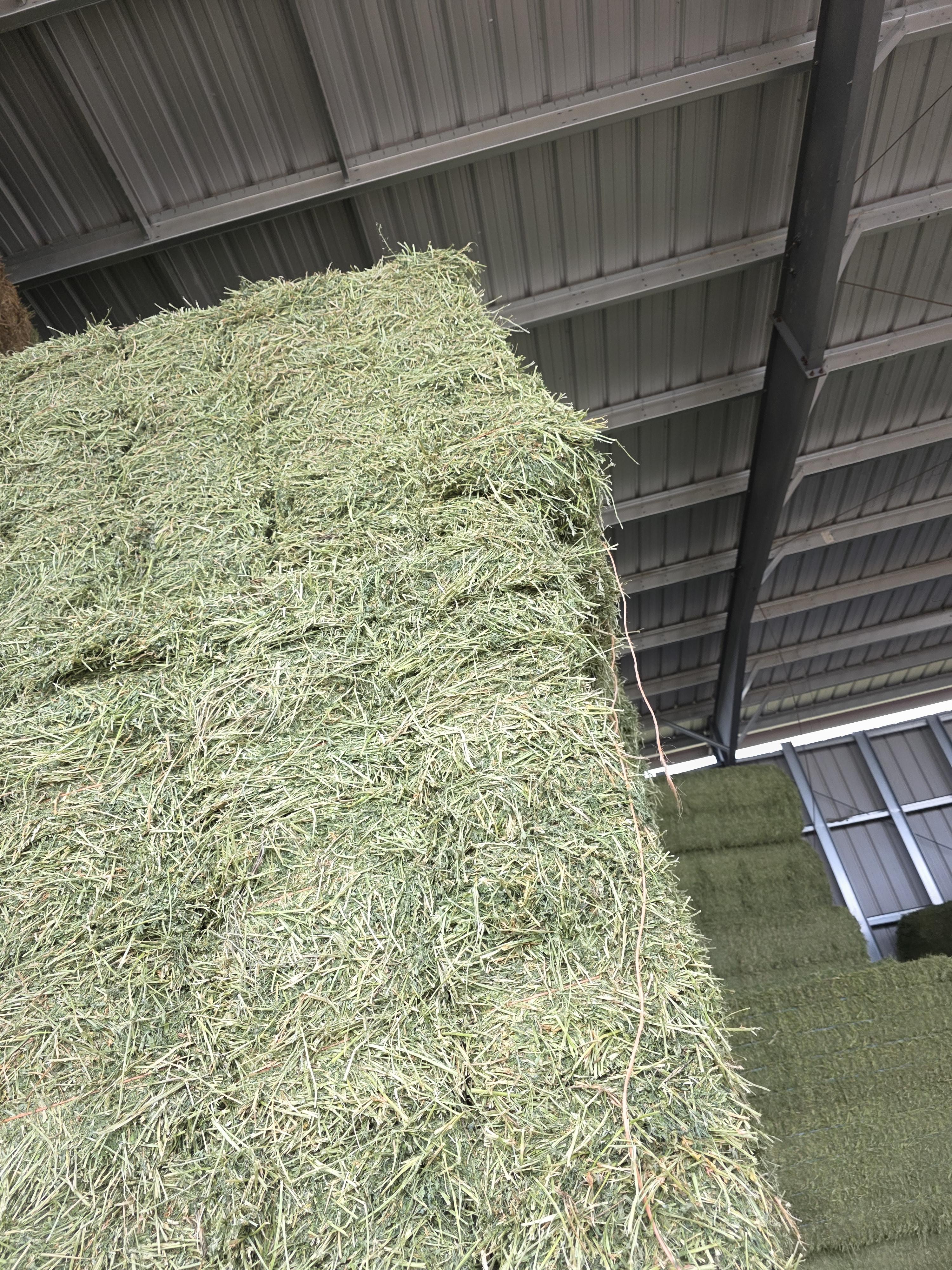 503 Small Square 2 String Bundles Great Alfalfa – Image 4