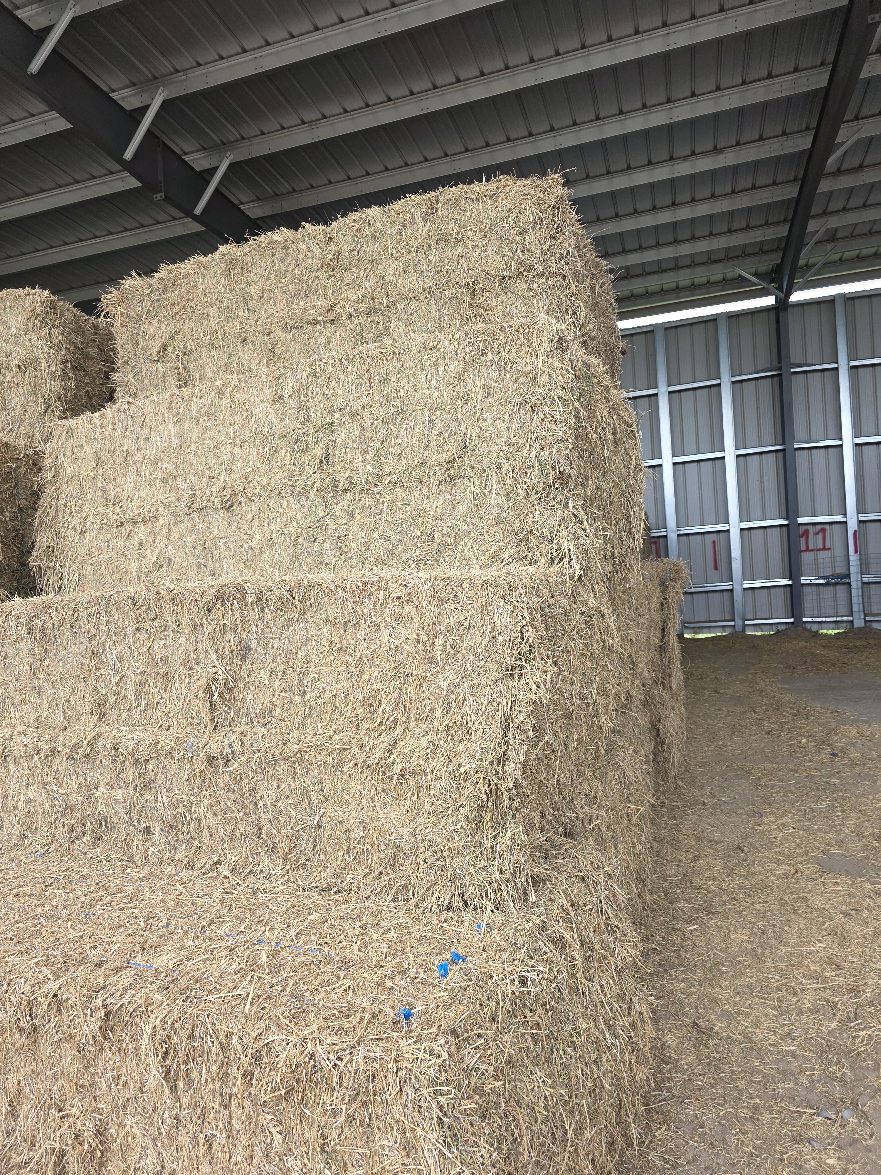 512 Mid Quality 3 x 4 Large Squares Alfalfa – Image 4