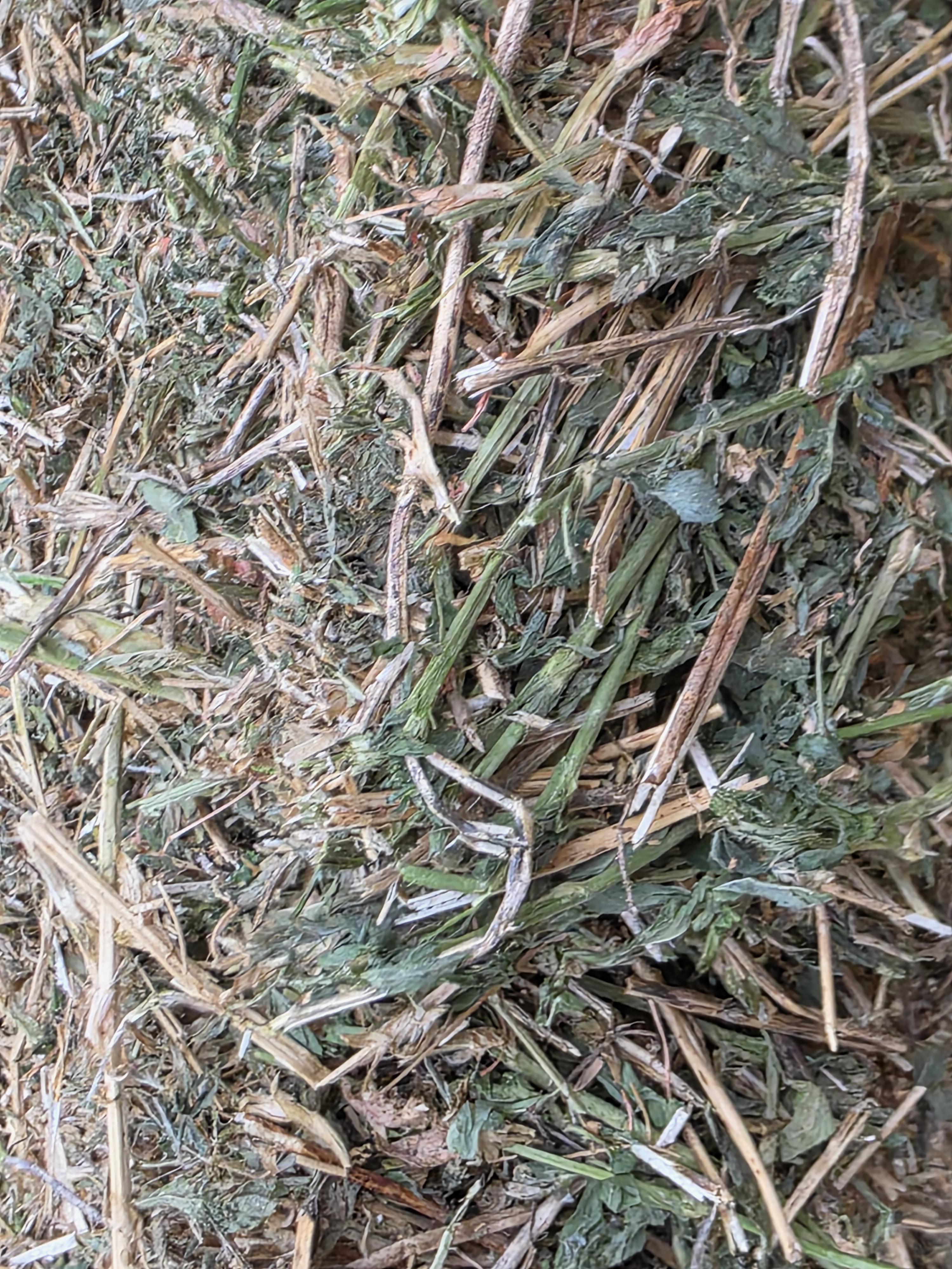 512 Mid Quality 3 x 4 Large Squares Alfalfa – Image 5