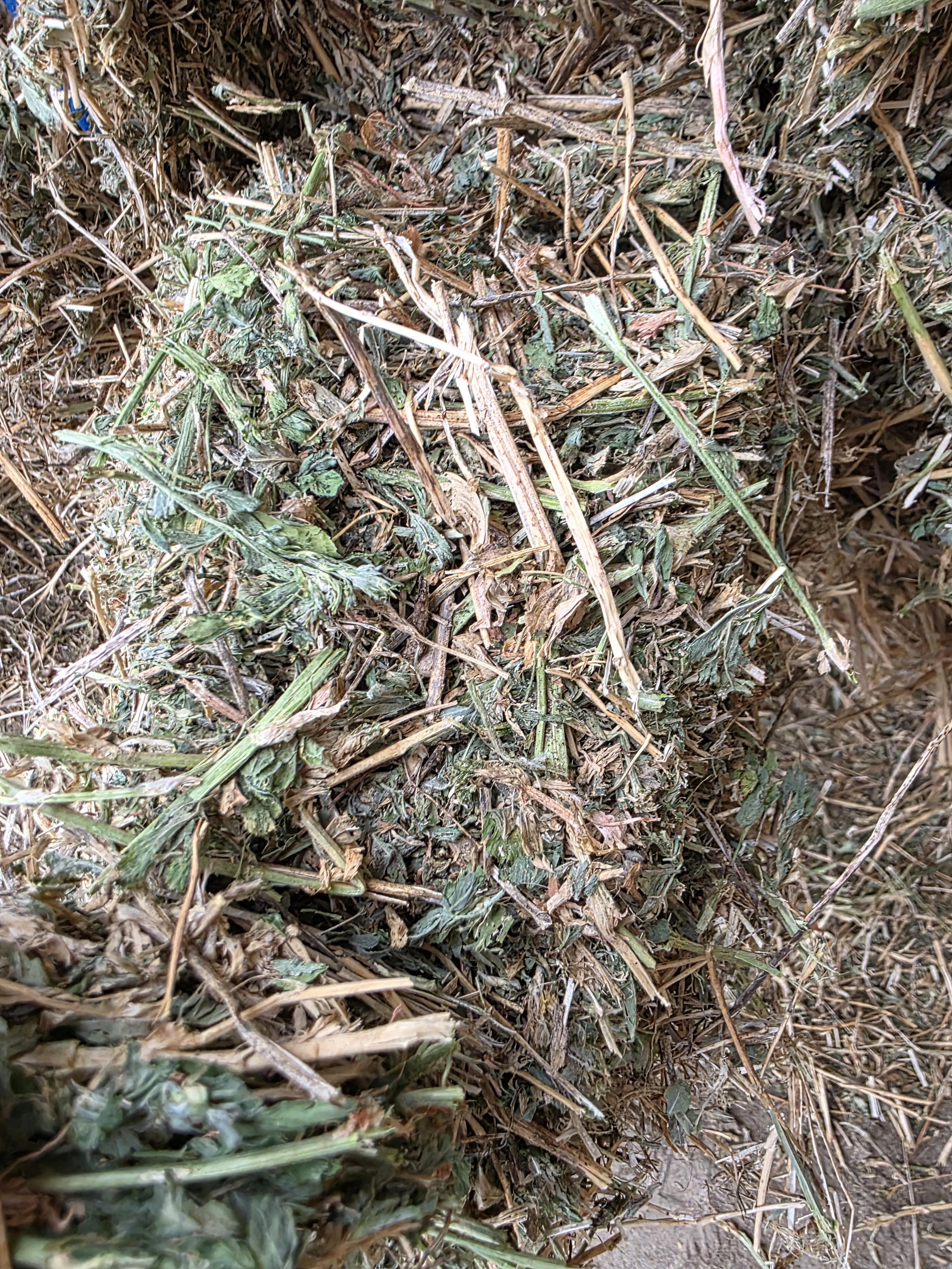 512 Mid Quality 3 x 4 Large Squares Alfalfa – Image 2