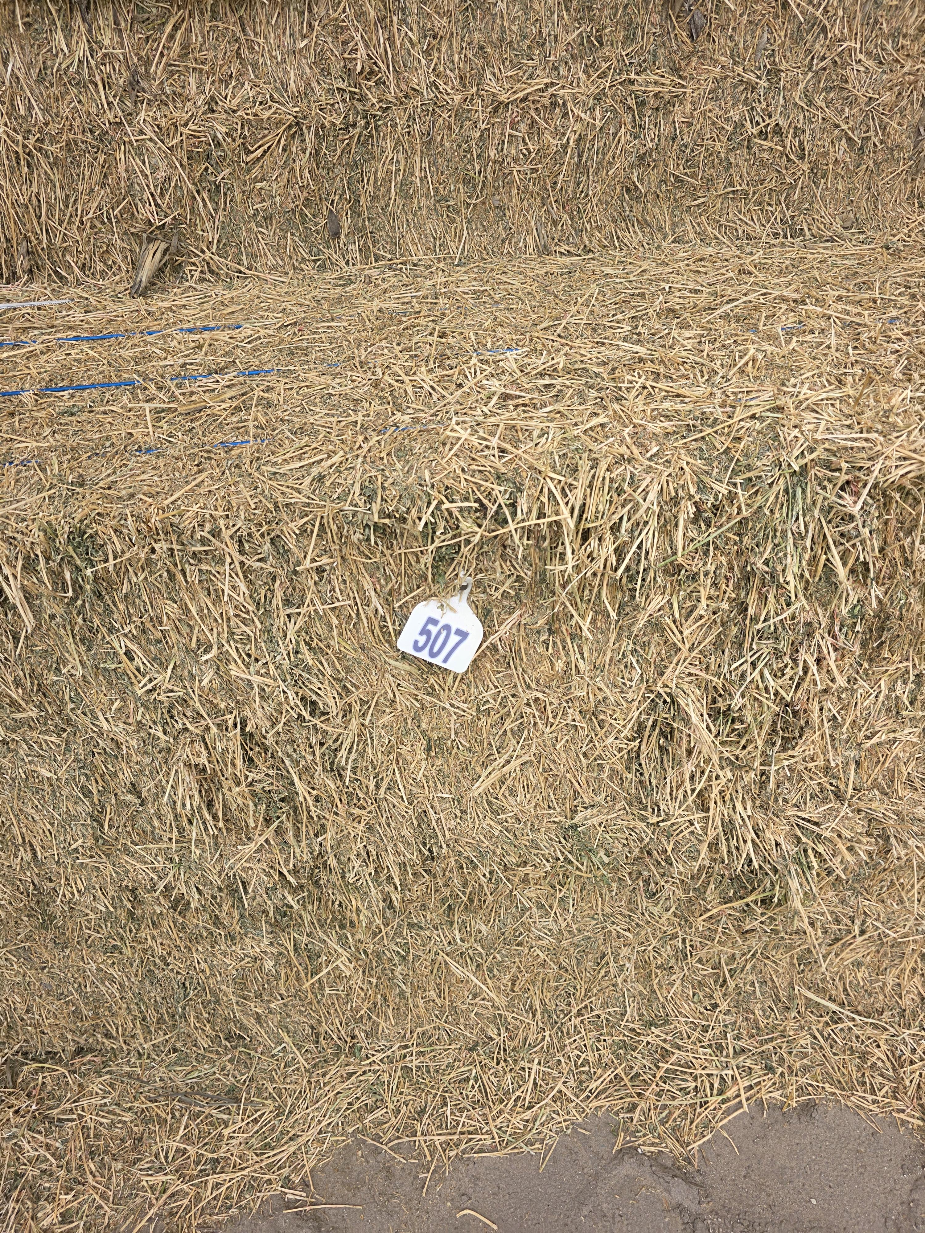 507 Large Square 3 x 4 Alfalfa Good Quality – Image 3