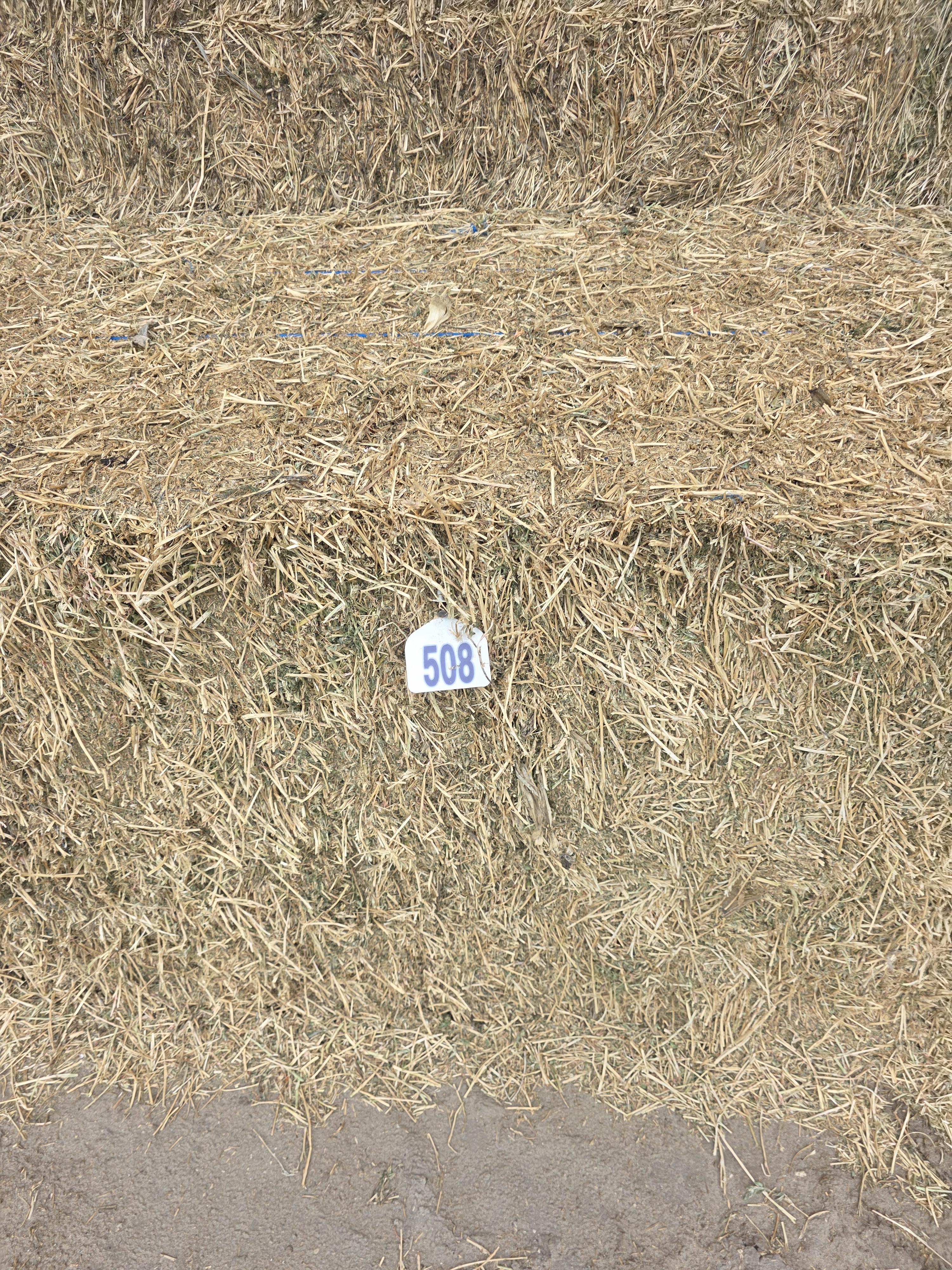 507 Large Square 3 x 4 Alfalfa Good Quality – Image 2