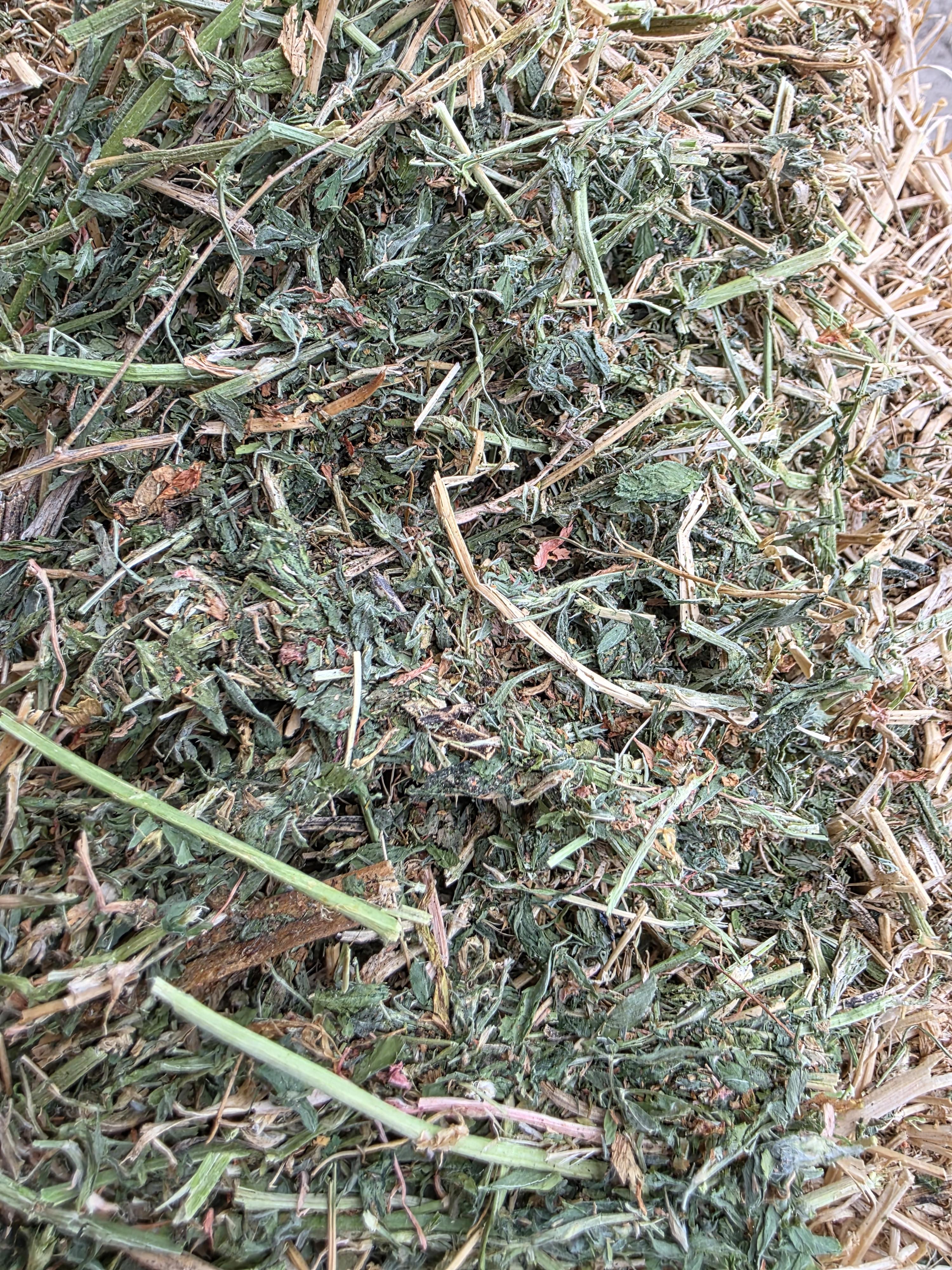 505 Large Squares Alfalfa 3 x 4 – Image 1