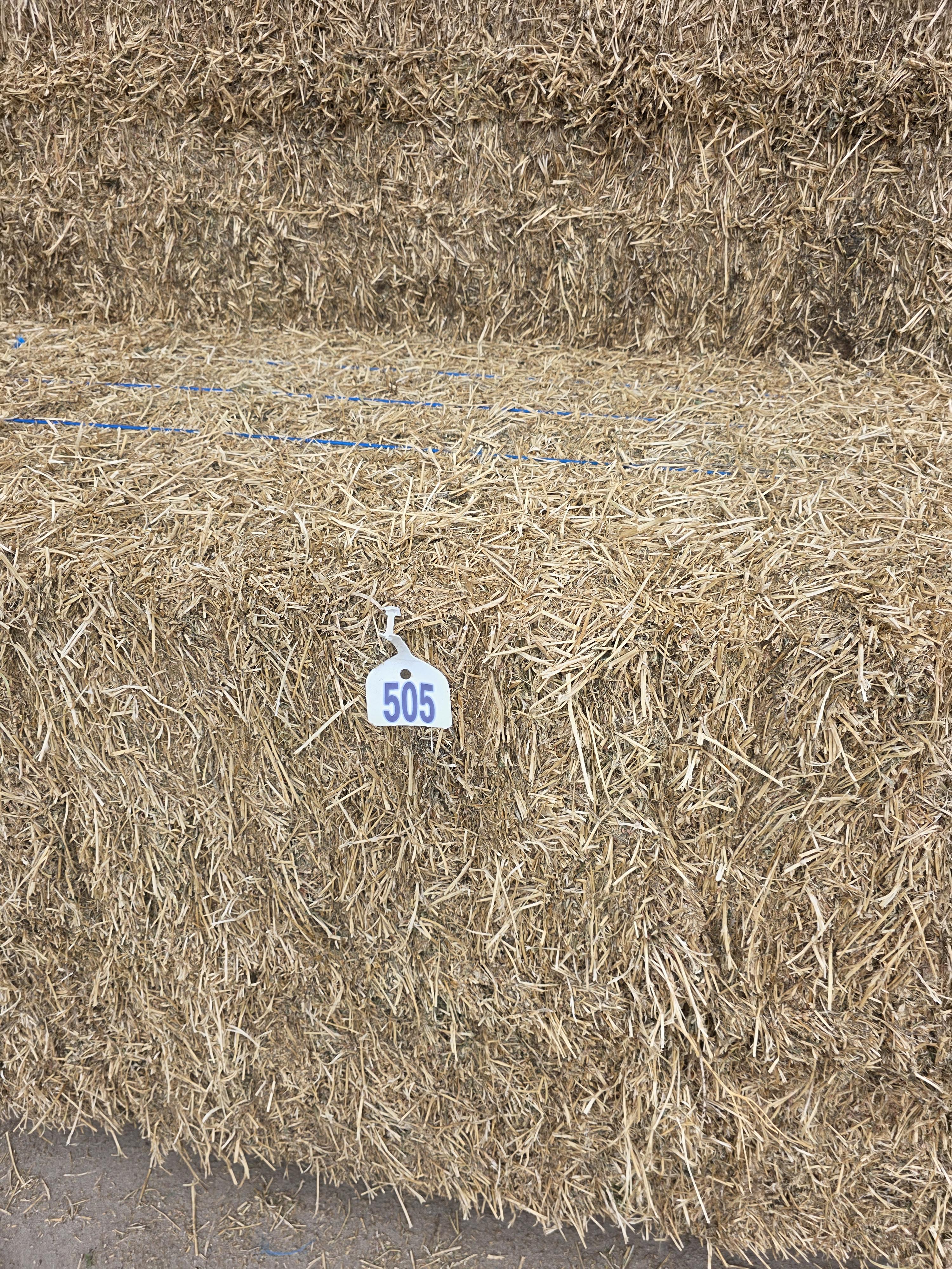 505 Large Squares Alfalfa 3 x 4 – Image 4