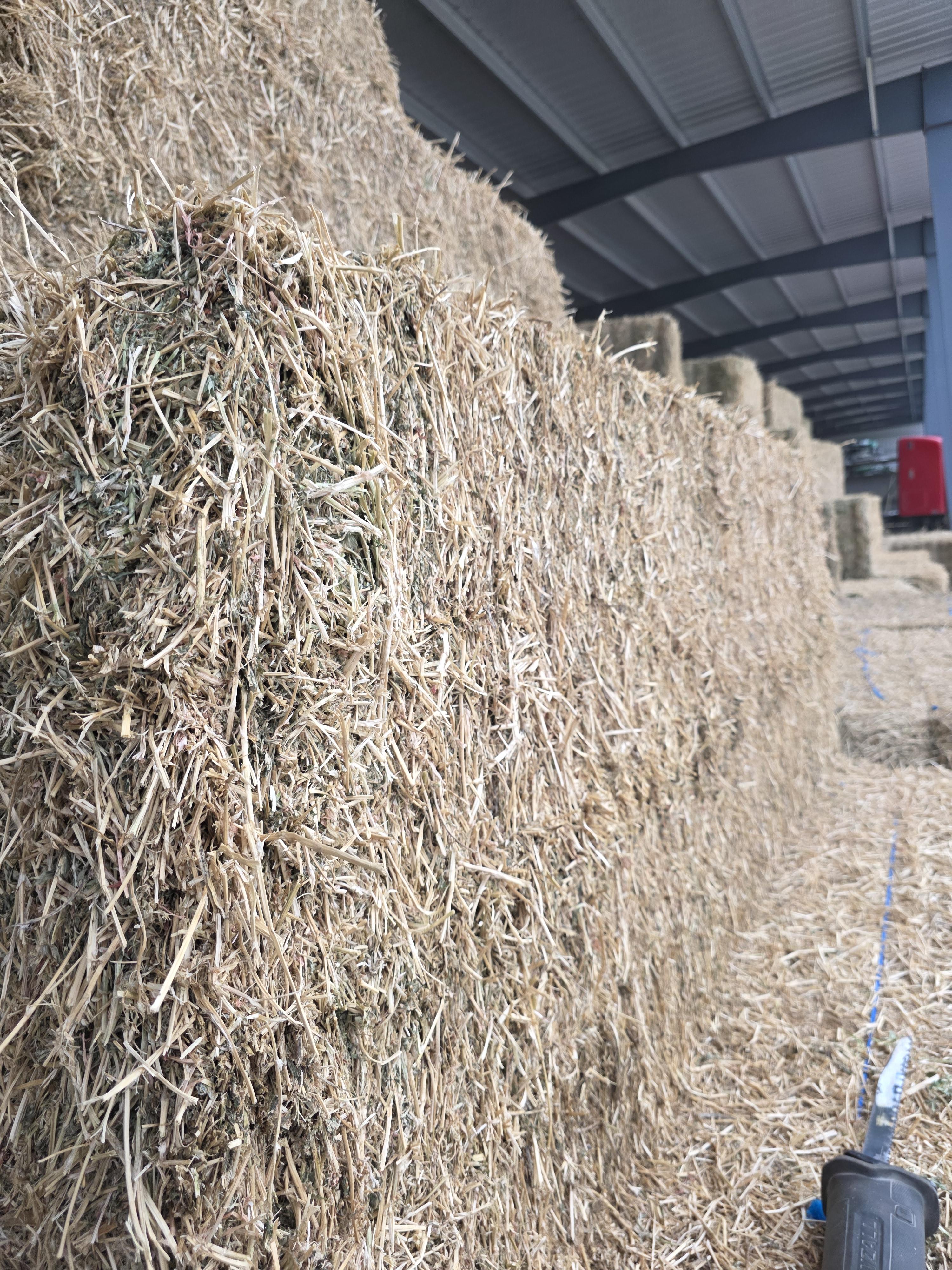505 Large Squares Alfalfa 3 x 4 – Image 2