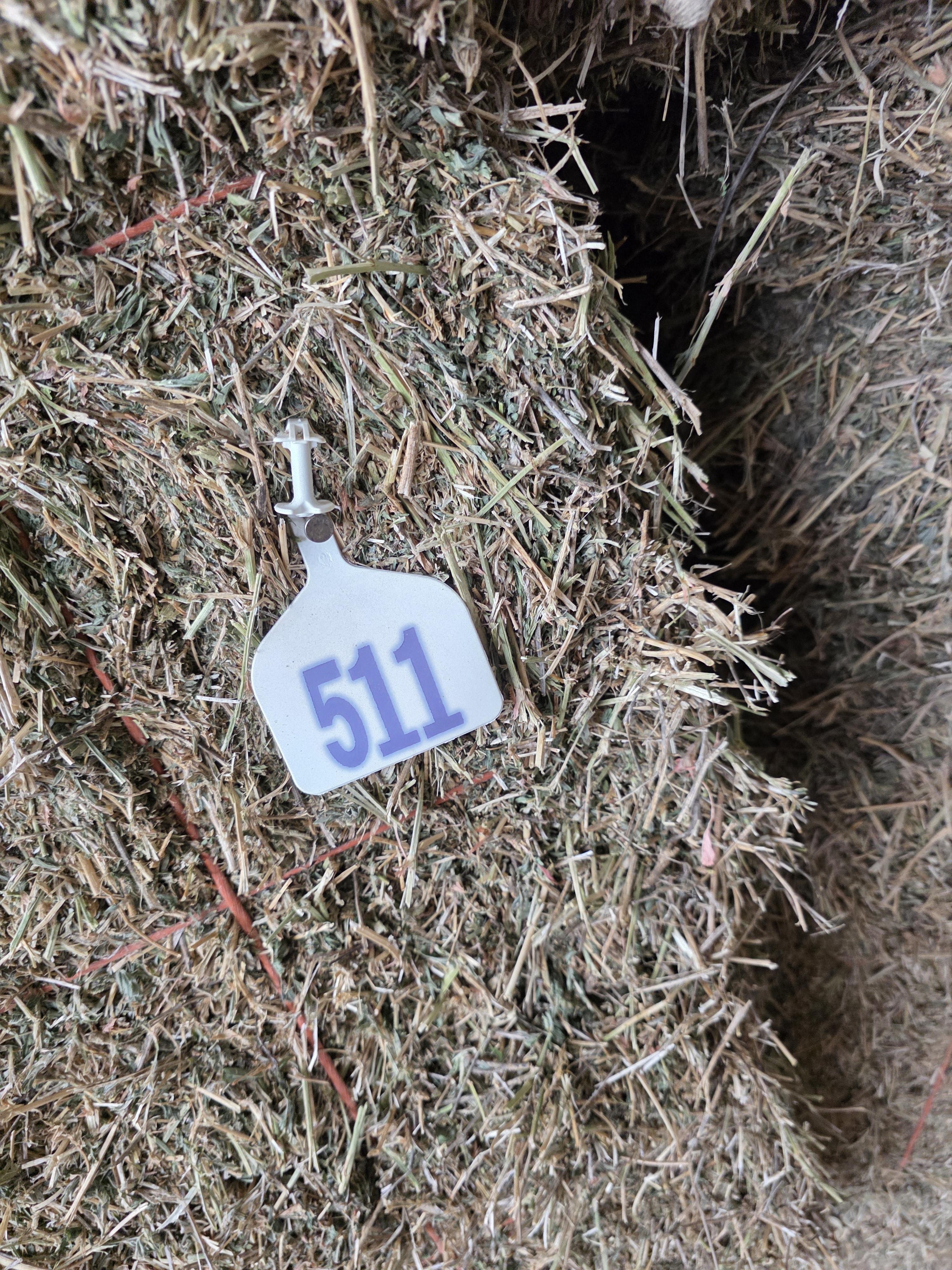 511 Small Squares Alfalfa Mid Quality – Image 6