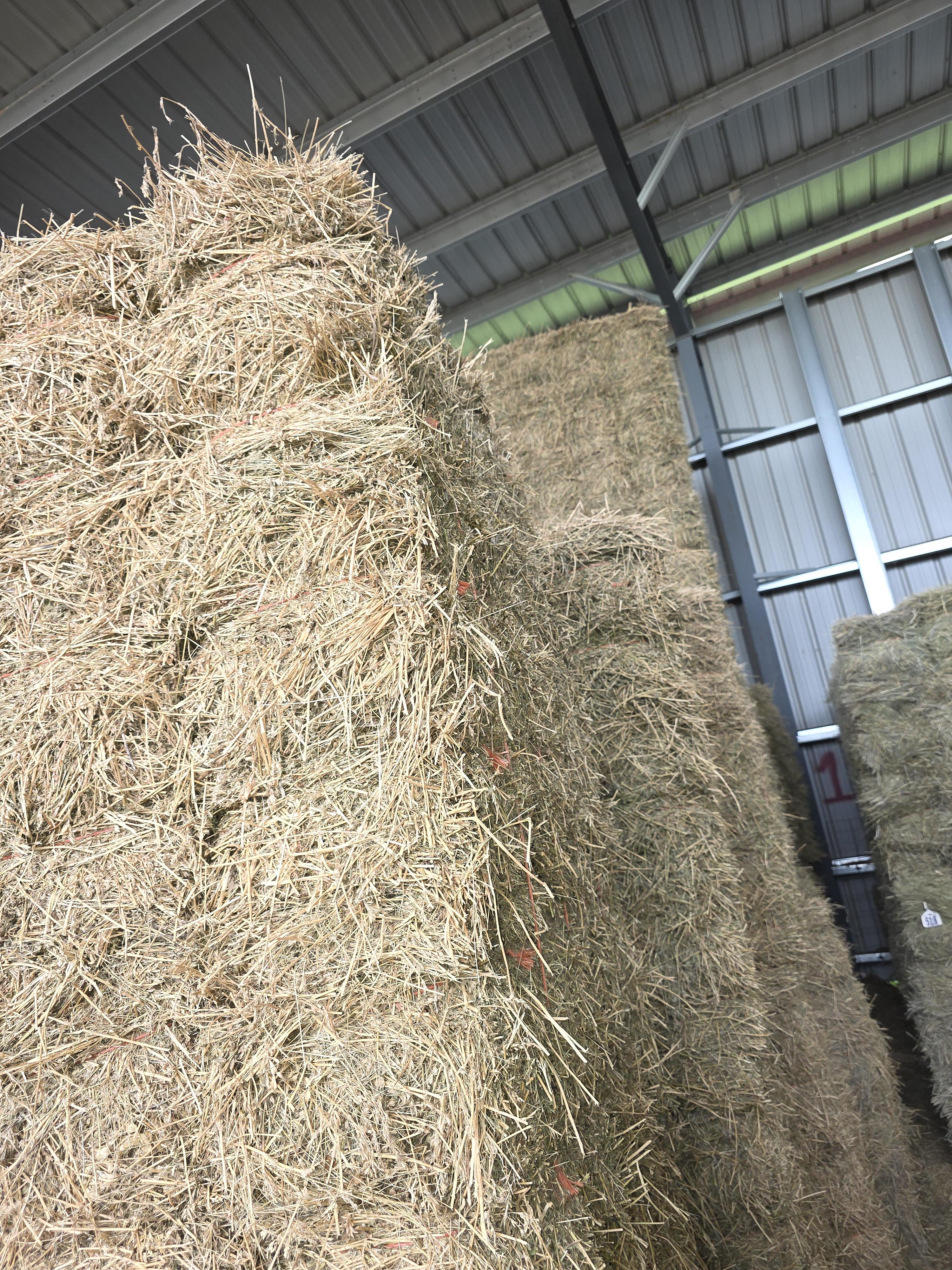 513 Small Square Alfalfa/Grass 2 String Bundles – Image 5