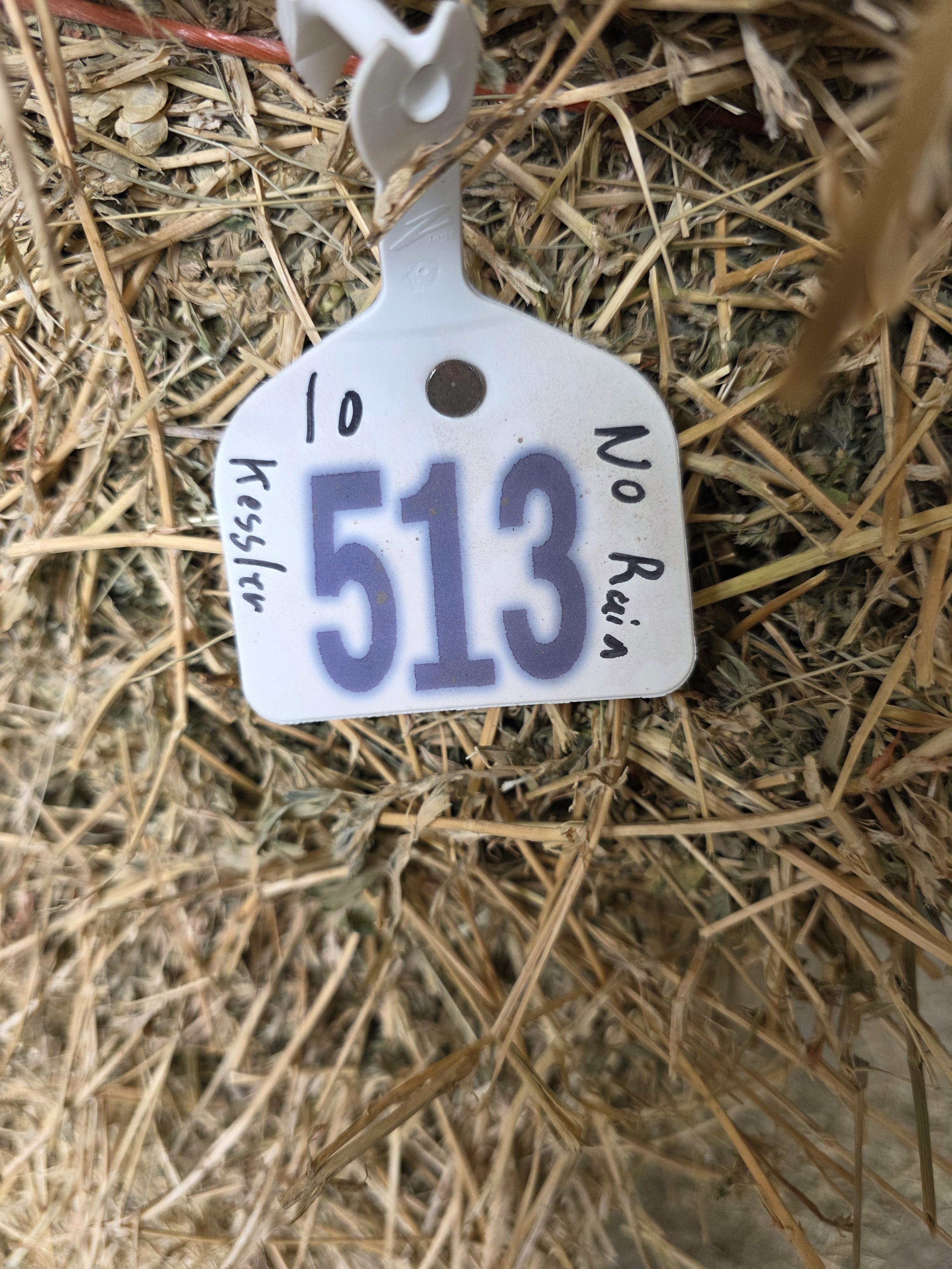 513 Small Square Alfalfa/Grass 2 String Bundles – Image 4
