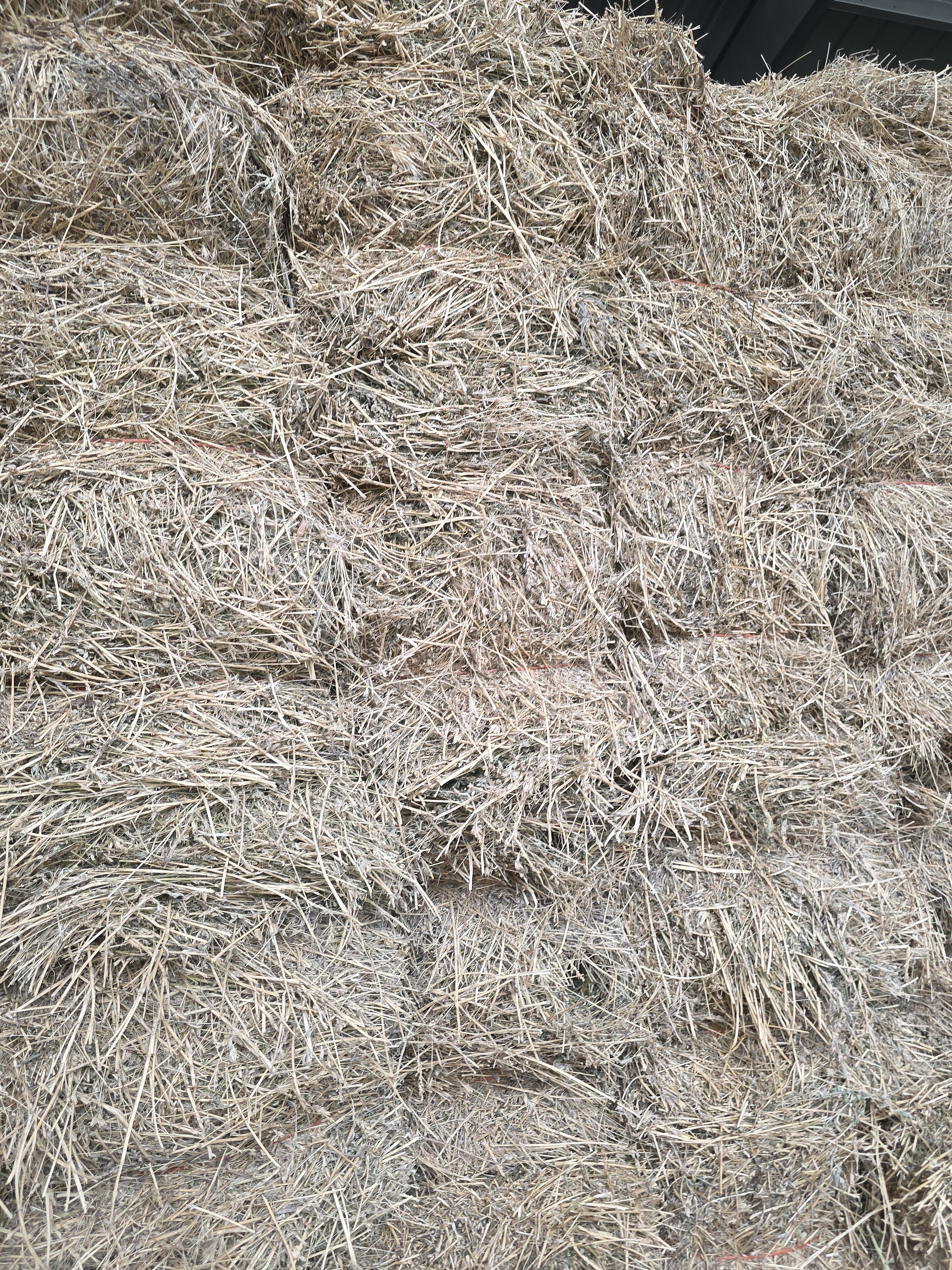 514 Small Squares Alfalfa/Grass Mix – Image 1