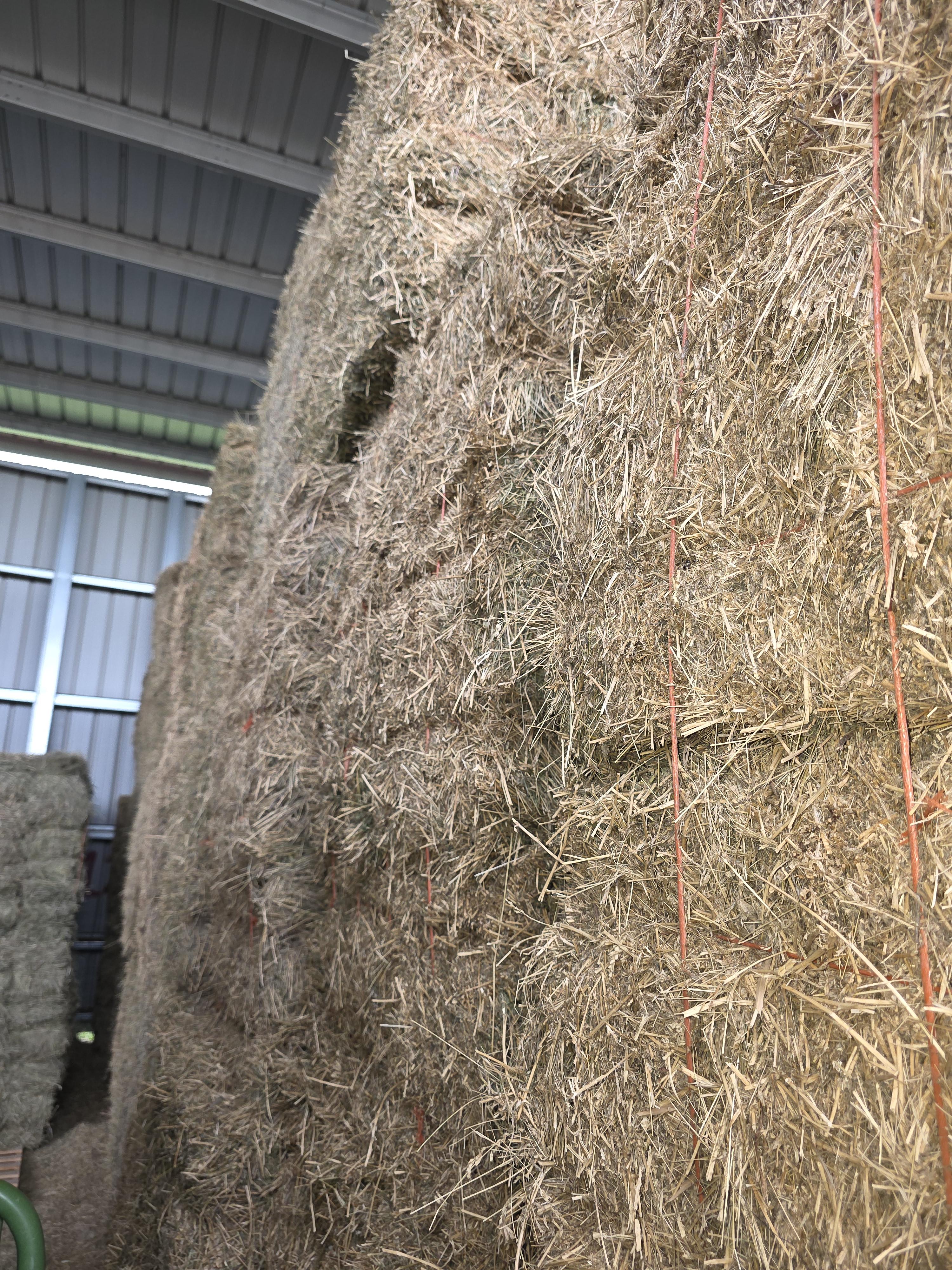 514 Small Squares Alfalfa/Grass Mix – Image 7