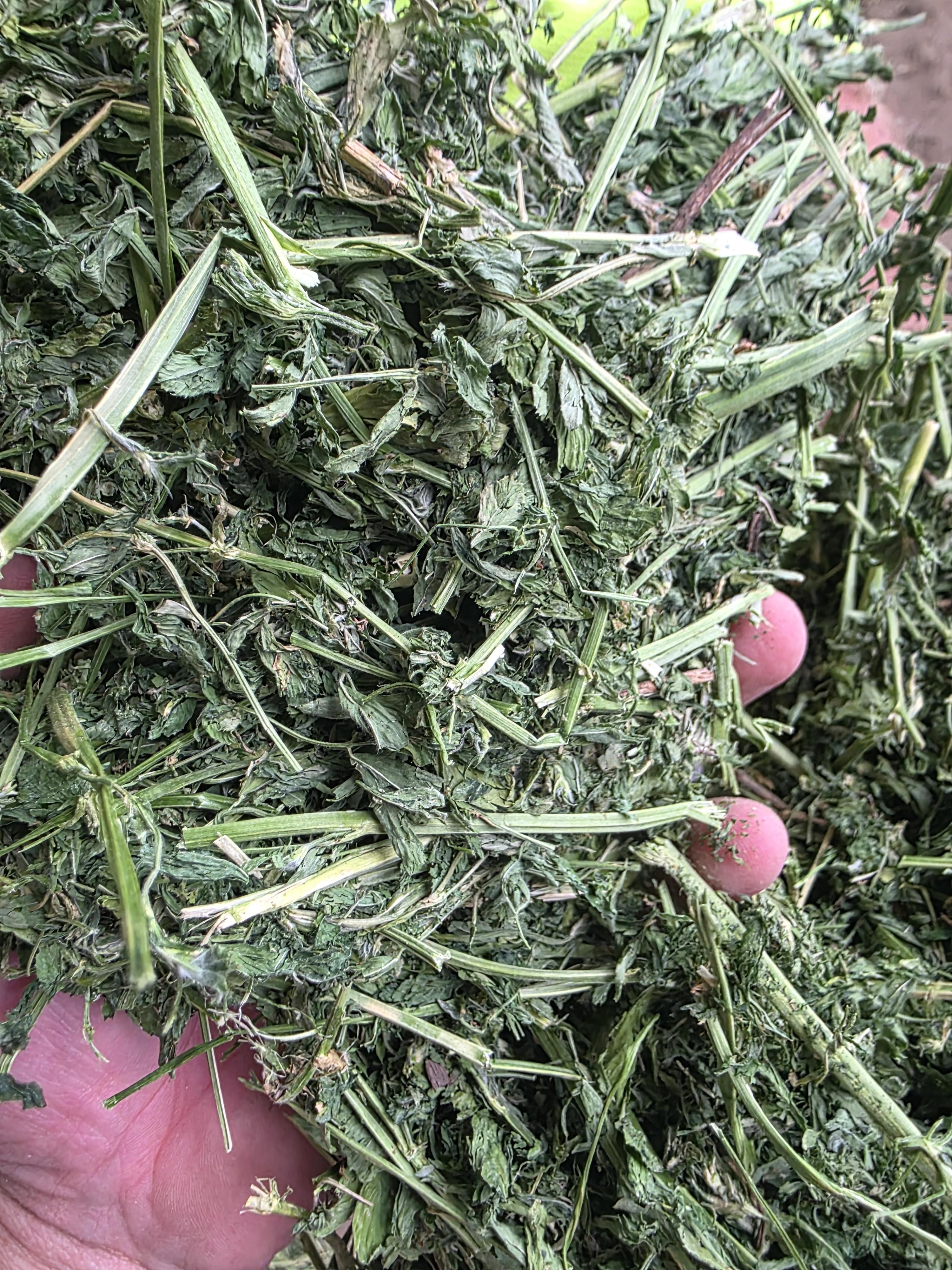 533 Small Square Bundles Great Alfalfa – Image 2