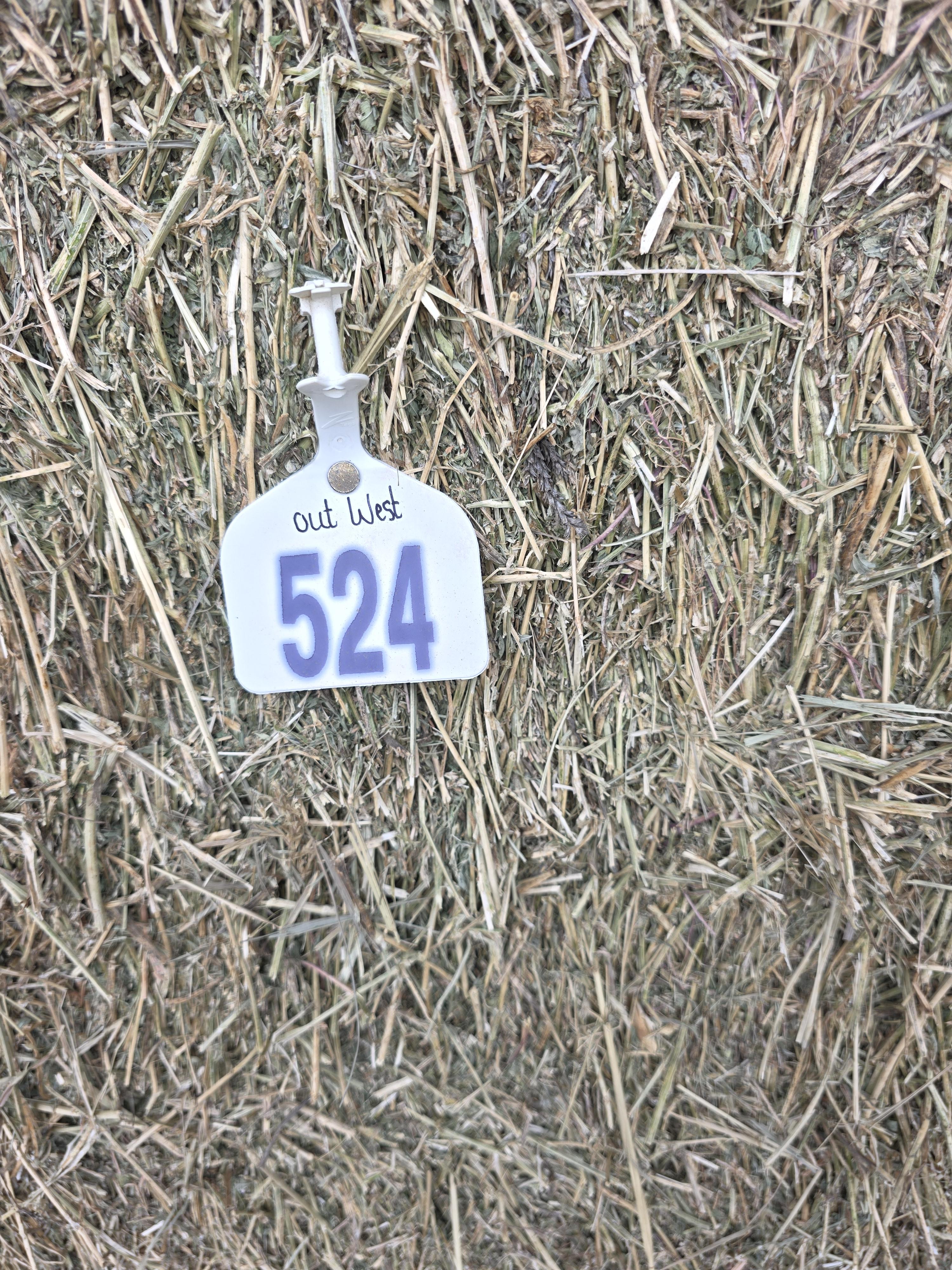 524 Large Square Alfalfa 160 RFV – Image 5