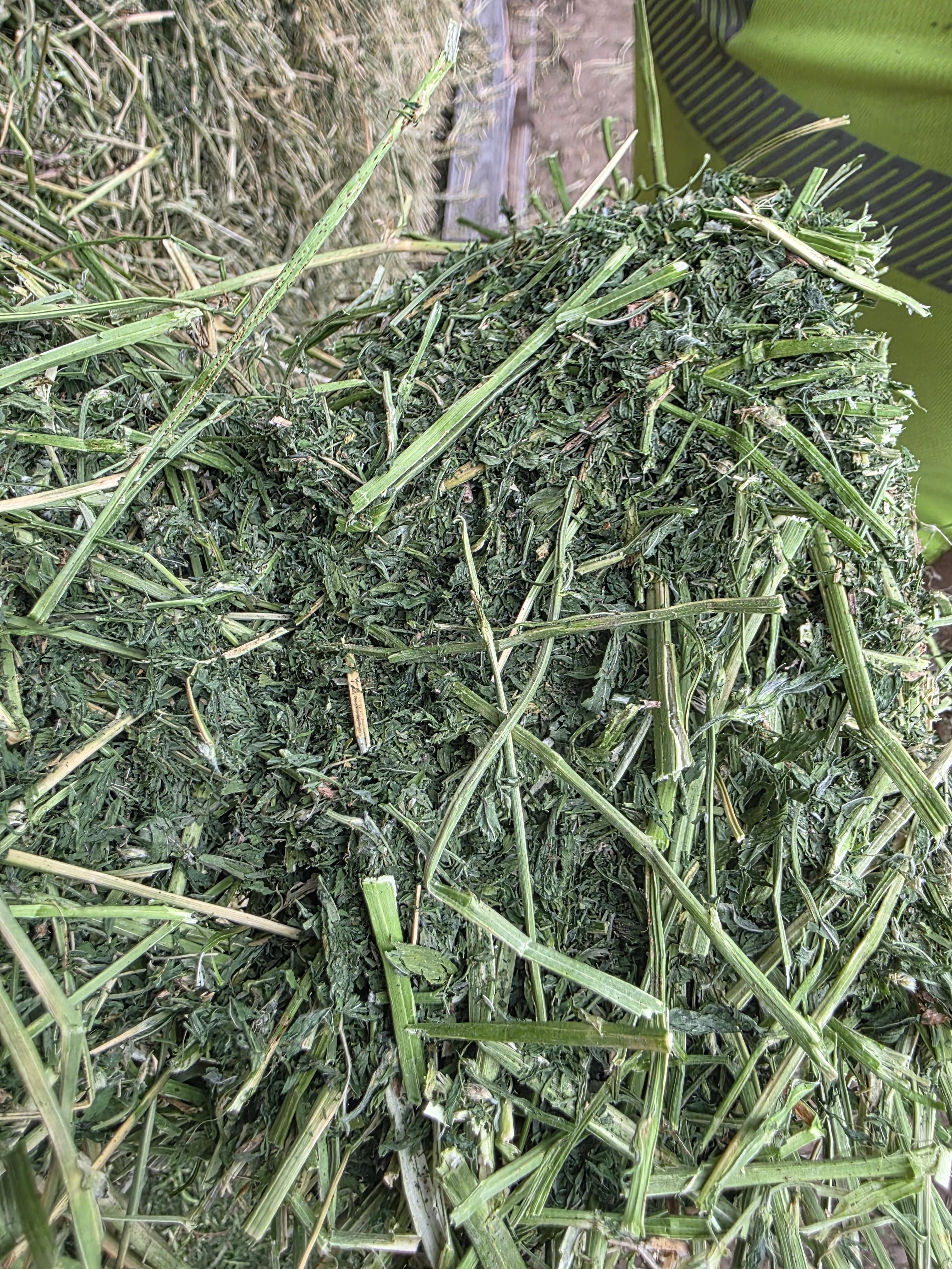 529 Small Square Bundles Horse Alfalfa – Image 5