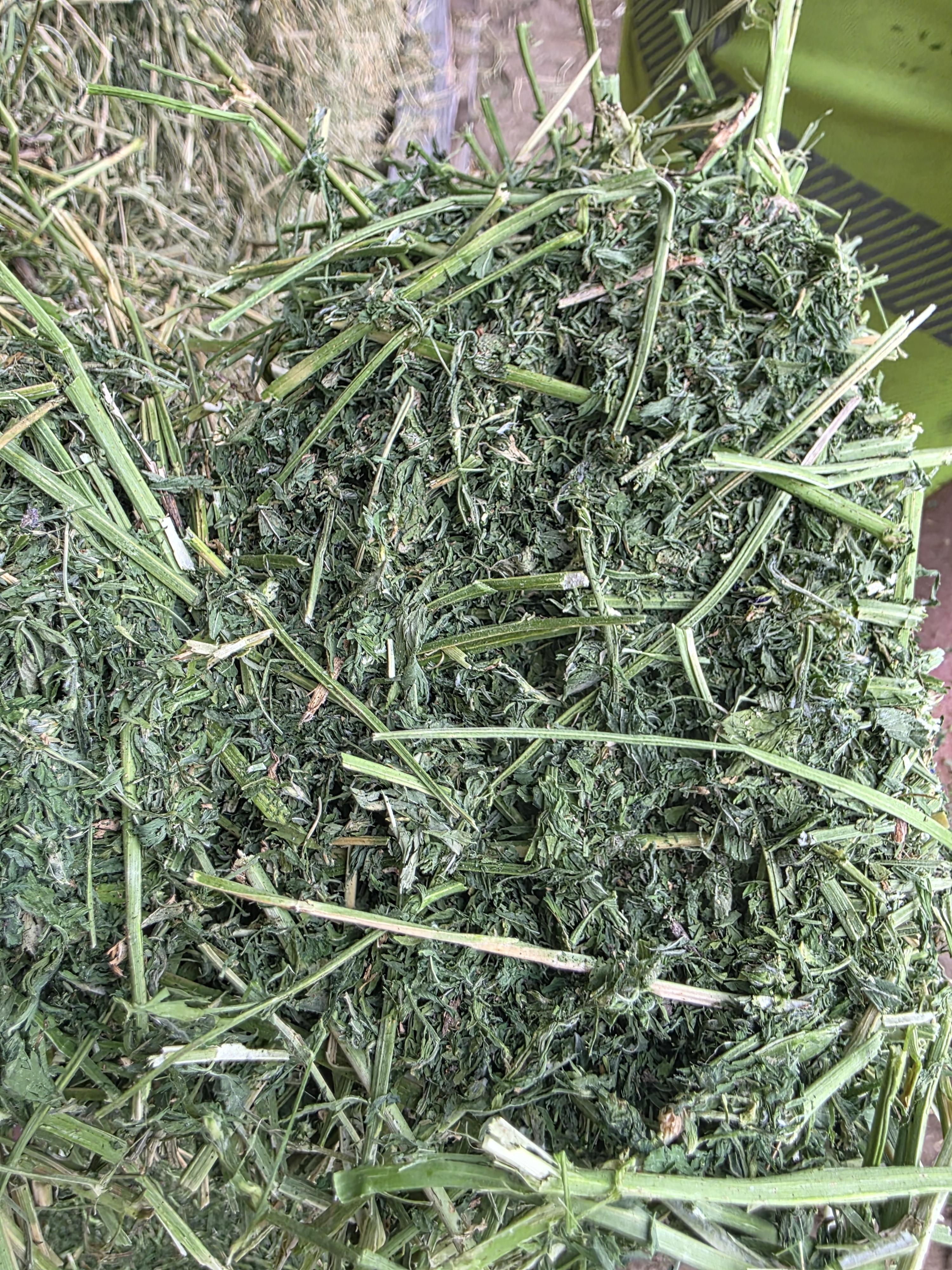 529 Small Square Bundles Horse Alfalfa – Image 6