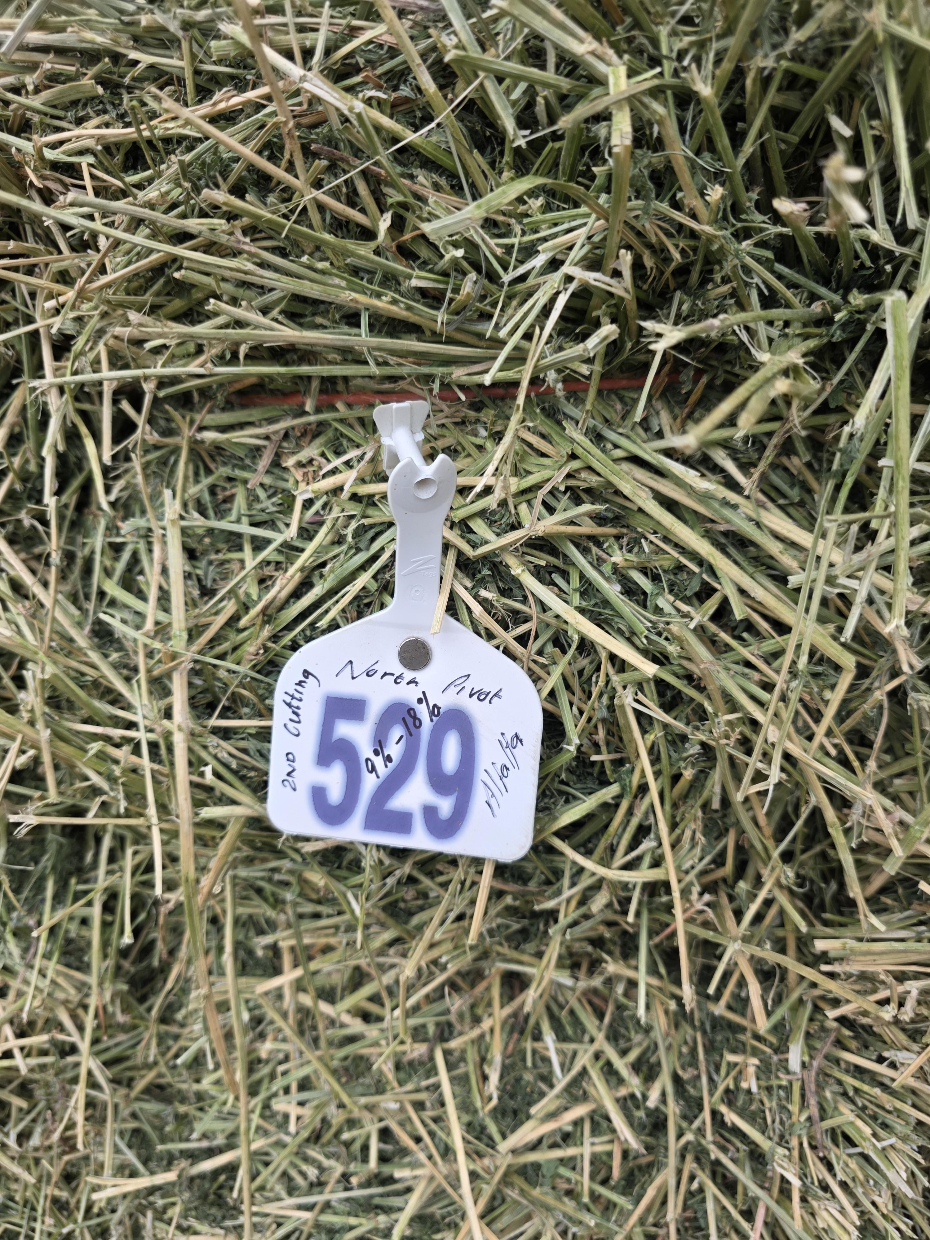 529 Small Square Bundles Horse Alfalfa – Image 2