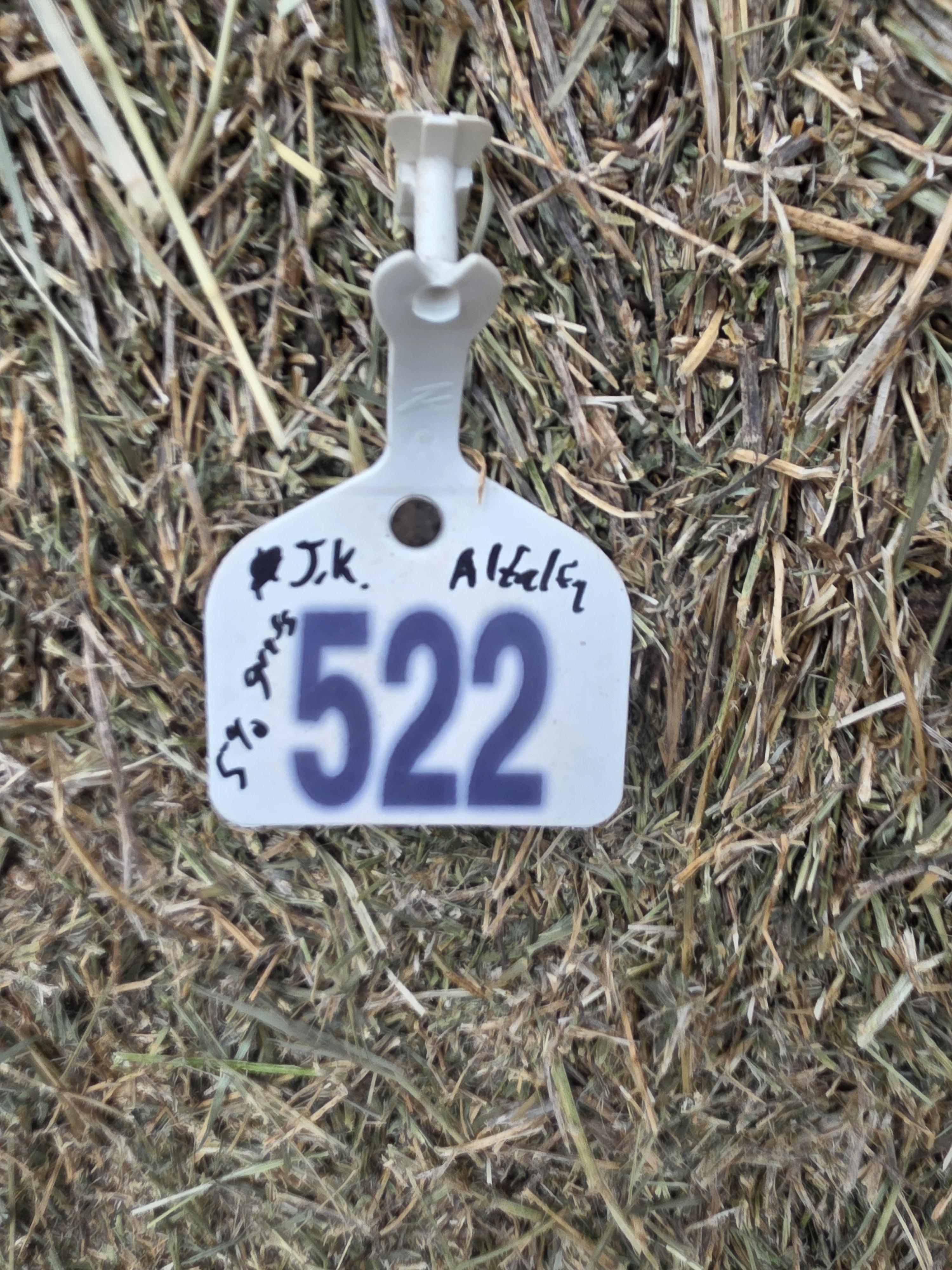 522 Large Square Alfalfa – Image 5