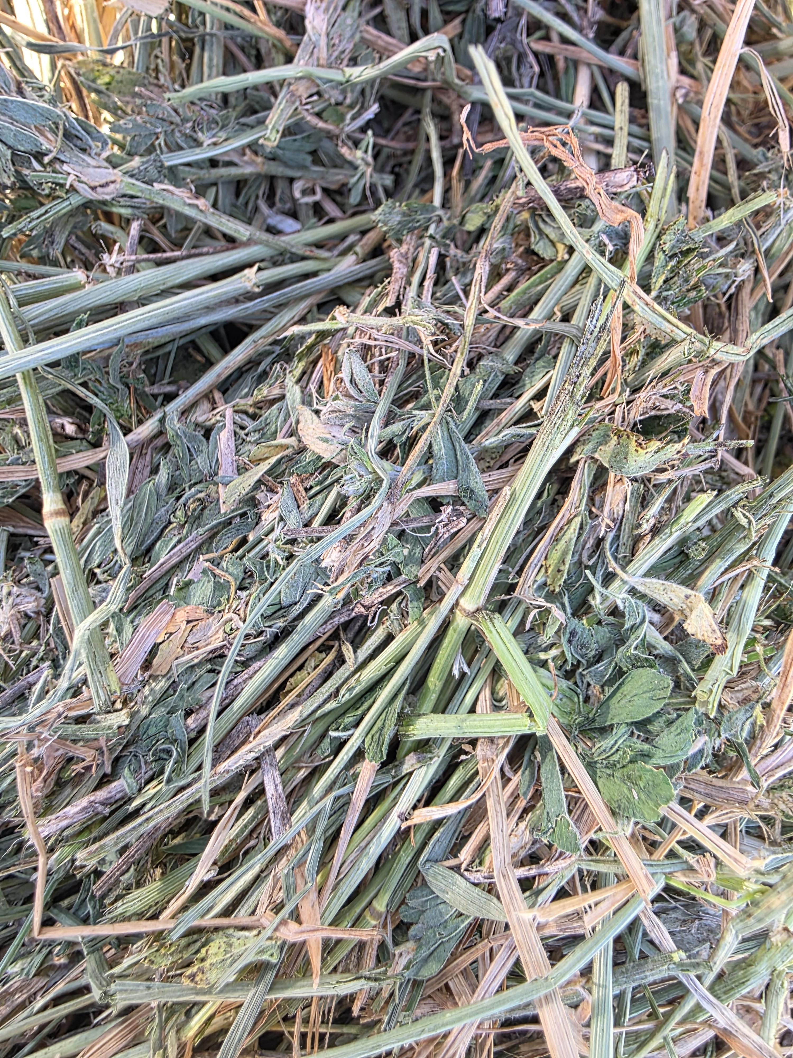 003TD Horse Alfalfa/Grass Mix Rounds – Image 9