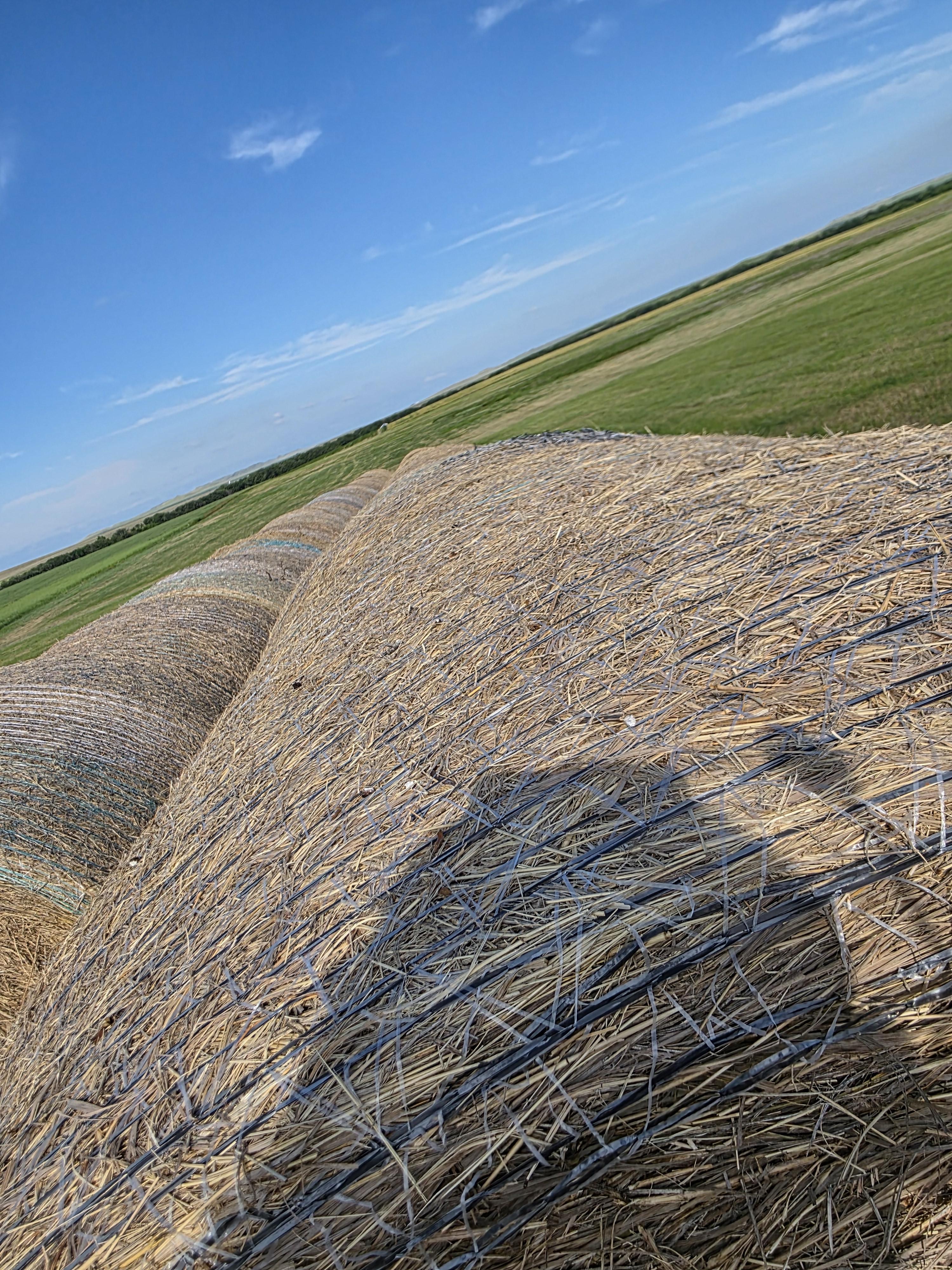 004TD Prairie Hay Rounds – Image 5
