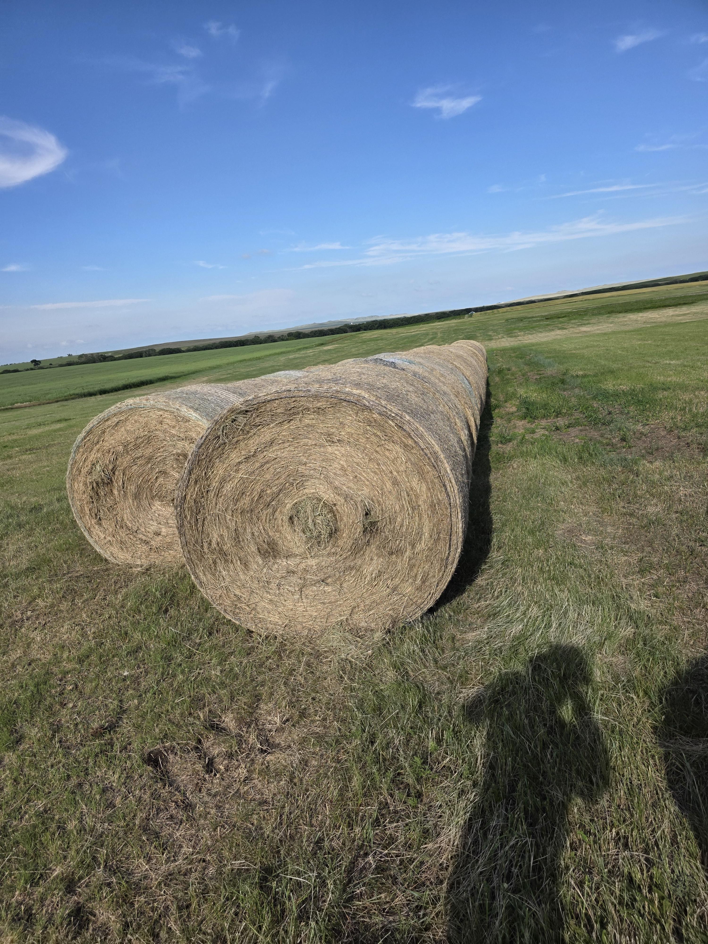 004TD Prairie Hay Rounds – Image 4