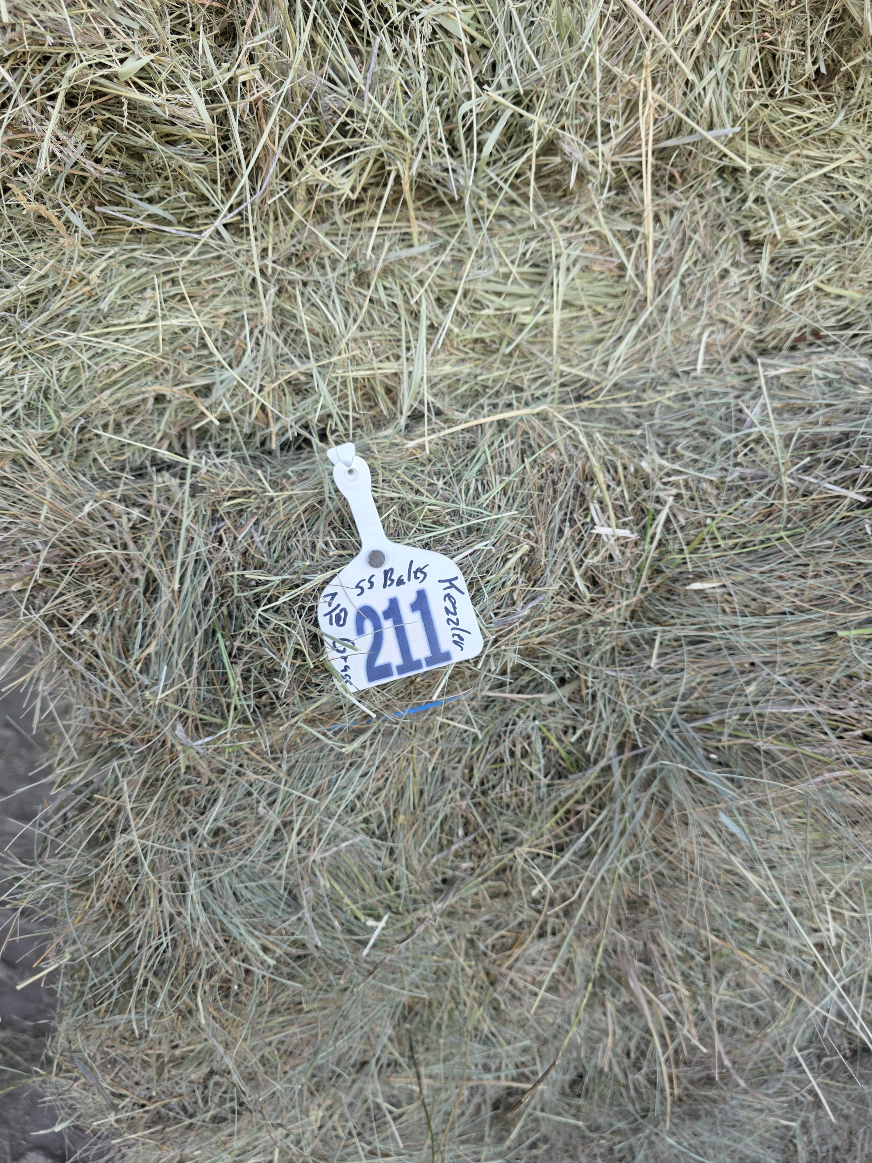 211 Grass W/5% Alfalfa Small Squares 2 String Bundles – Image 8