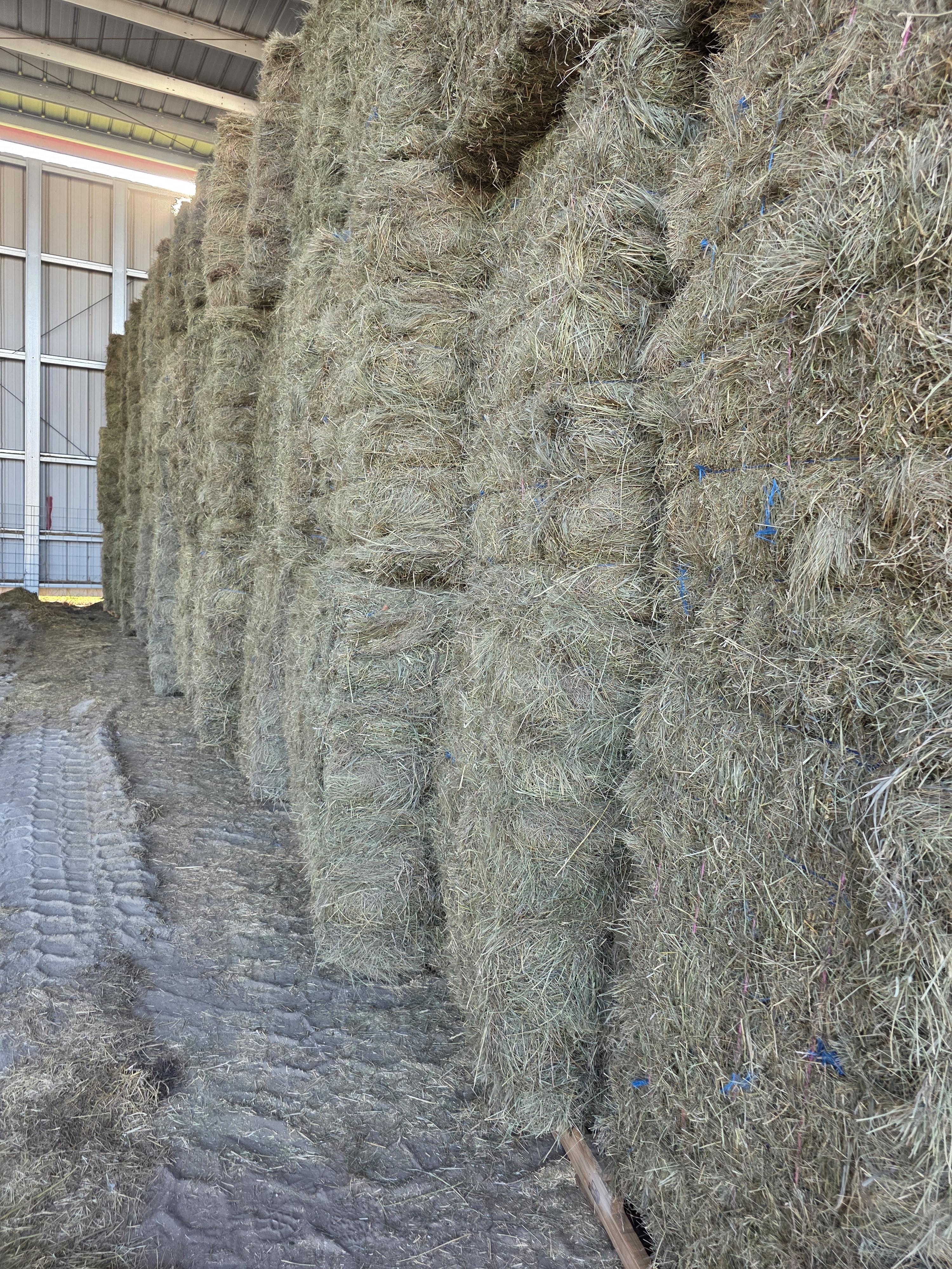 211 Grass W/5% Alfalfa Small Squares 2 String Bundles – Image 3
