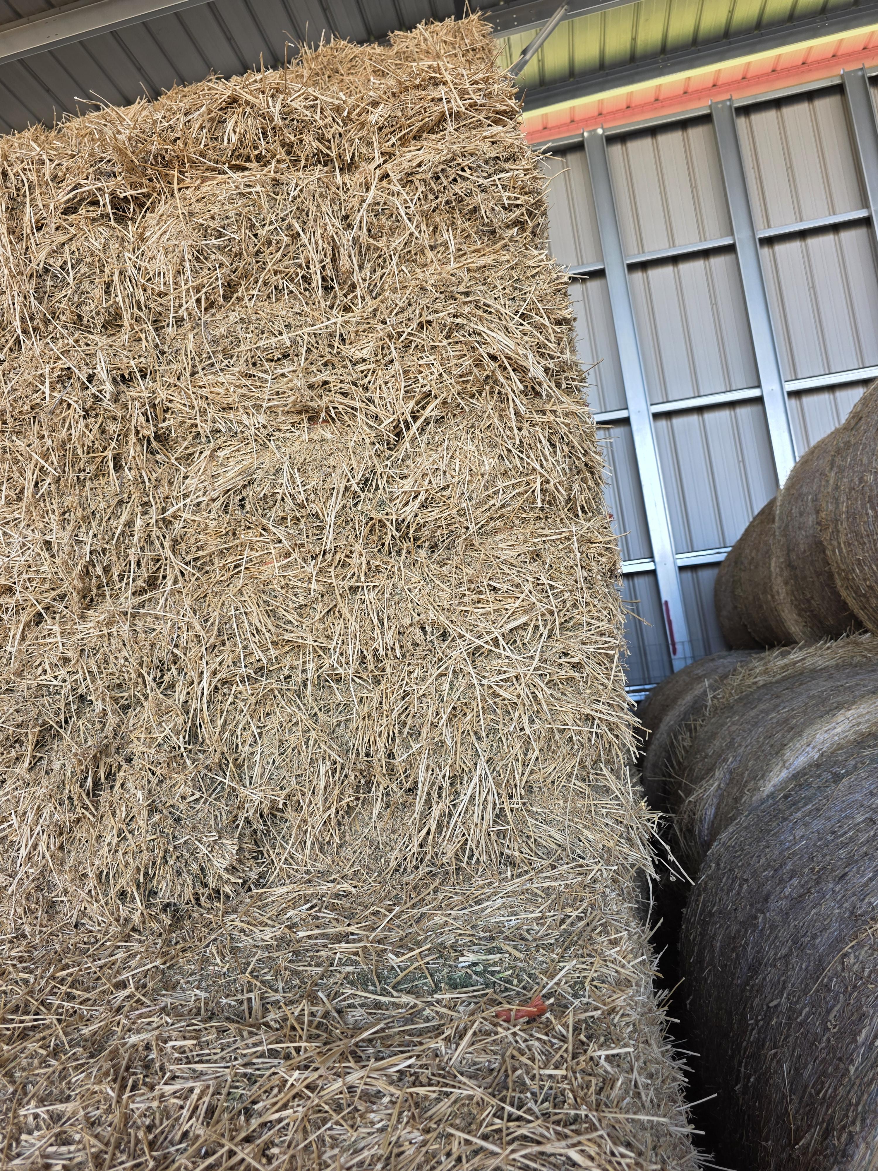 534 Alfalfa Small Square 2 String Bundles – Image 5