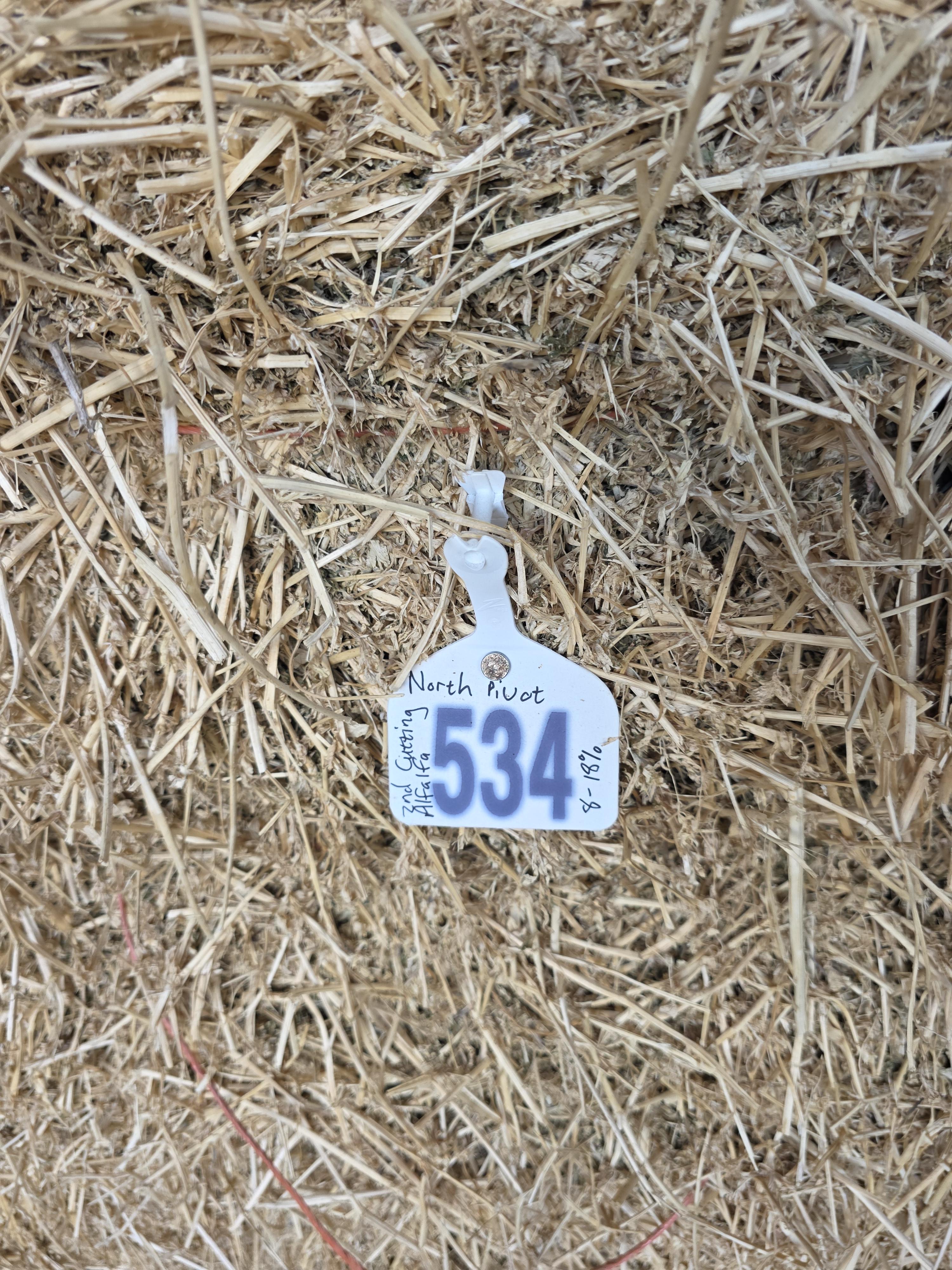 534 Alfalfa Small Square 2 String Bundles – Image 6
