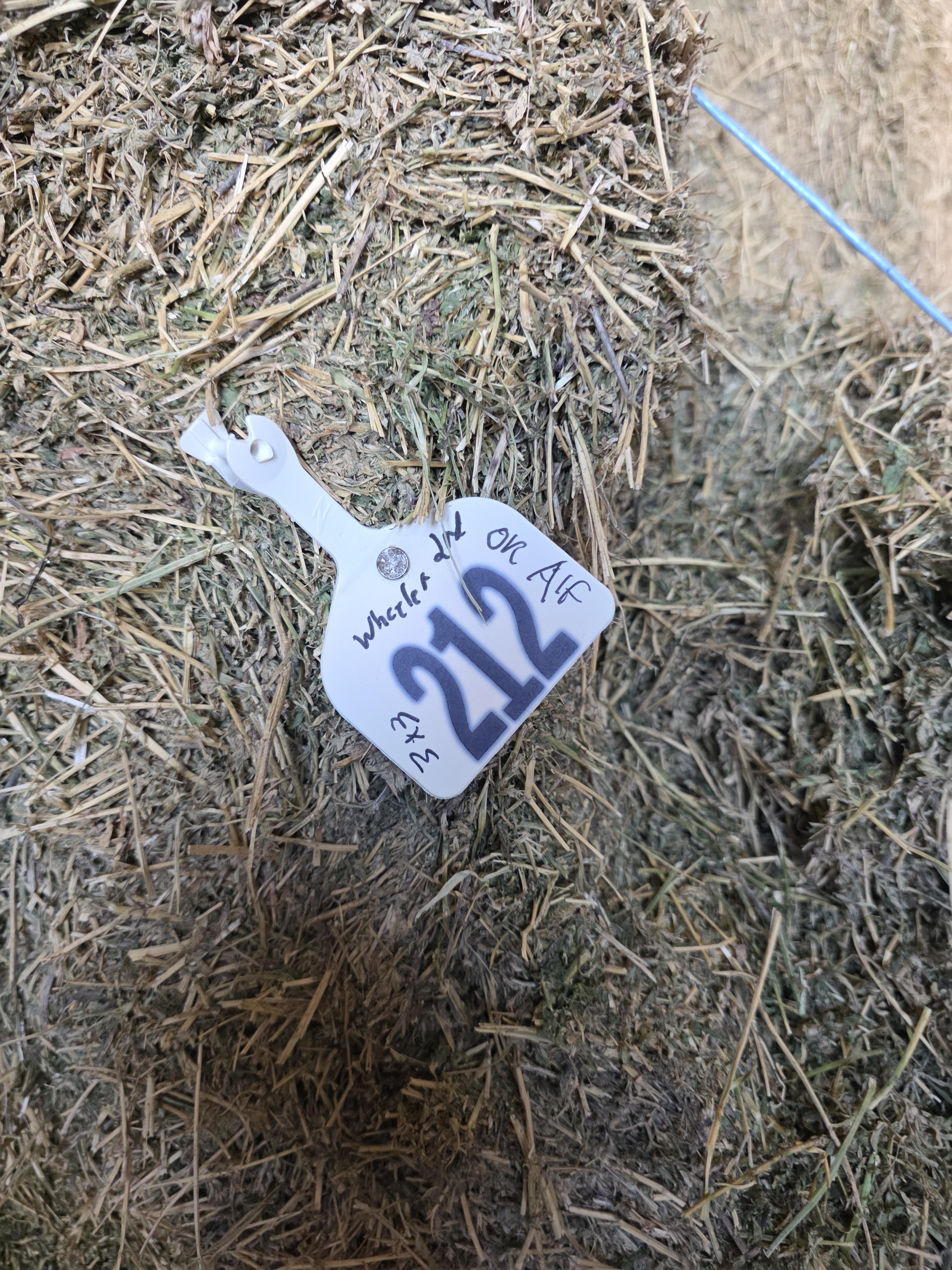 212 3 x 3 Large Square Bales Alfalfa – Image 6