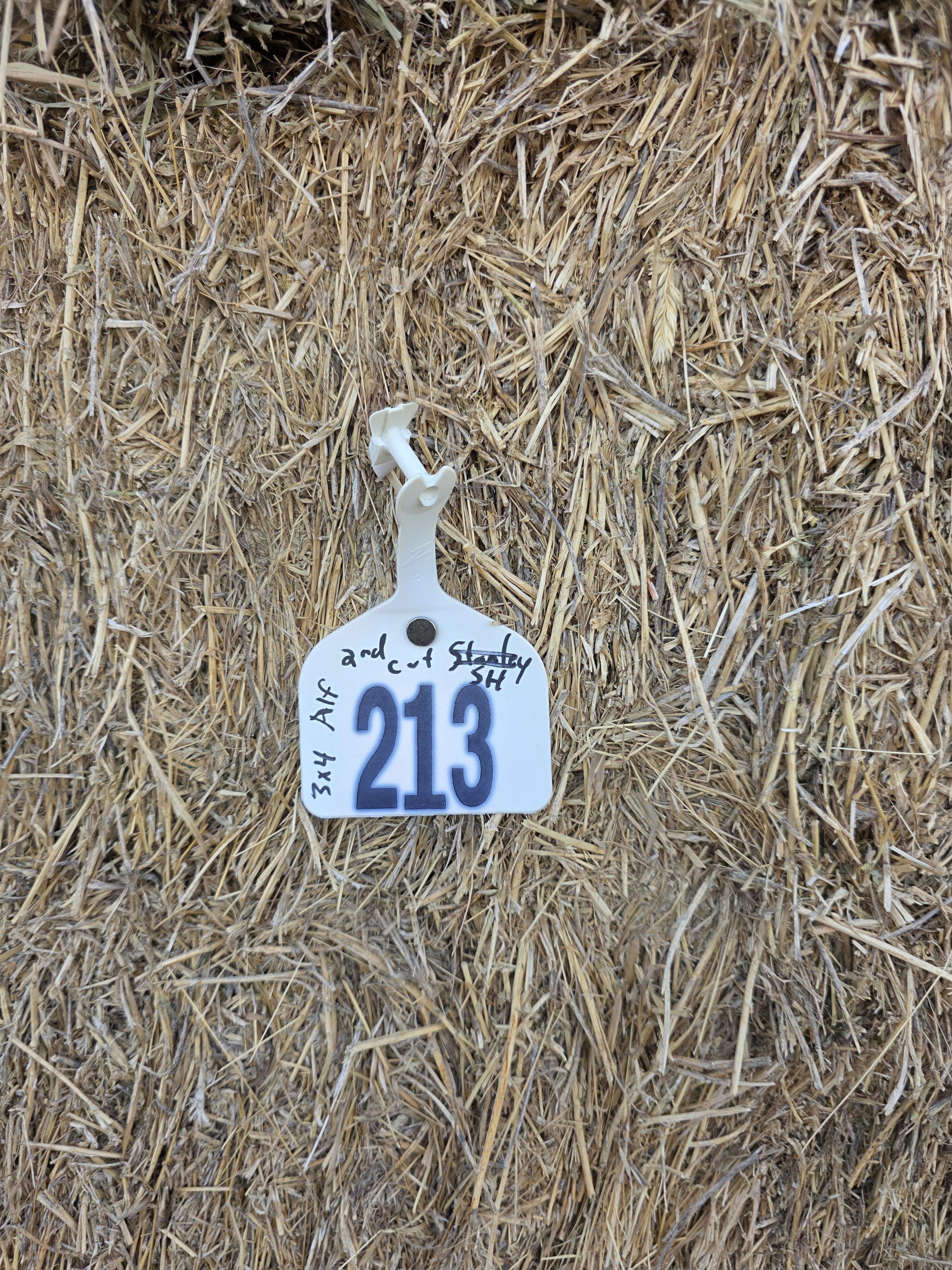 213 3 x 4 Large Square Alfalfa – Image 8