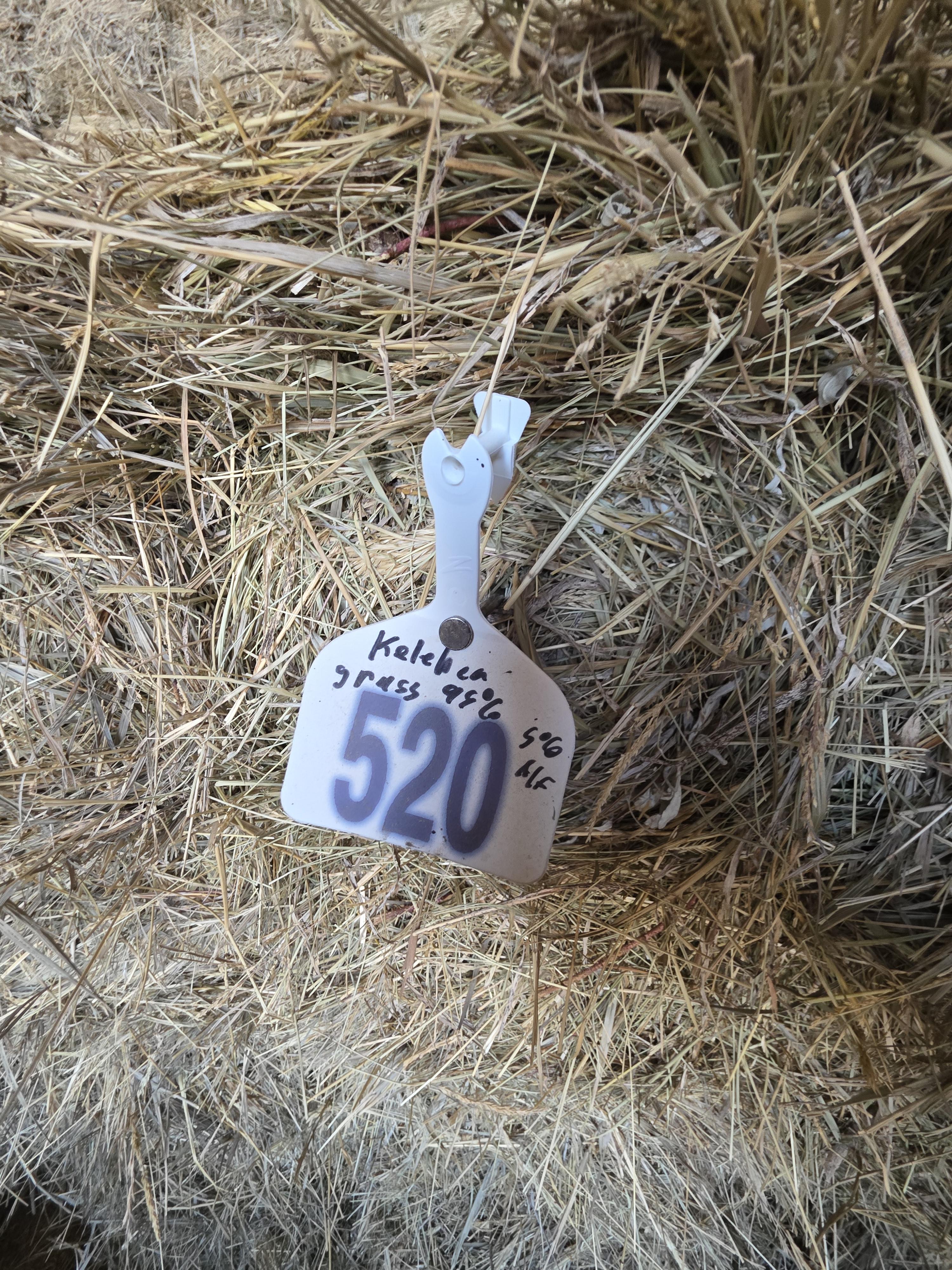 520 Small Square Bales of Alfalfa/Grass Mix – Image 7