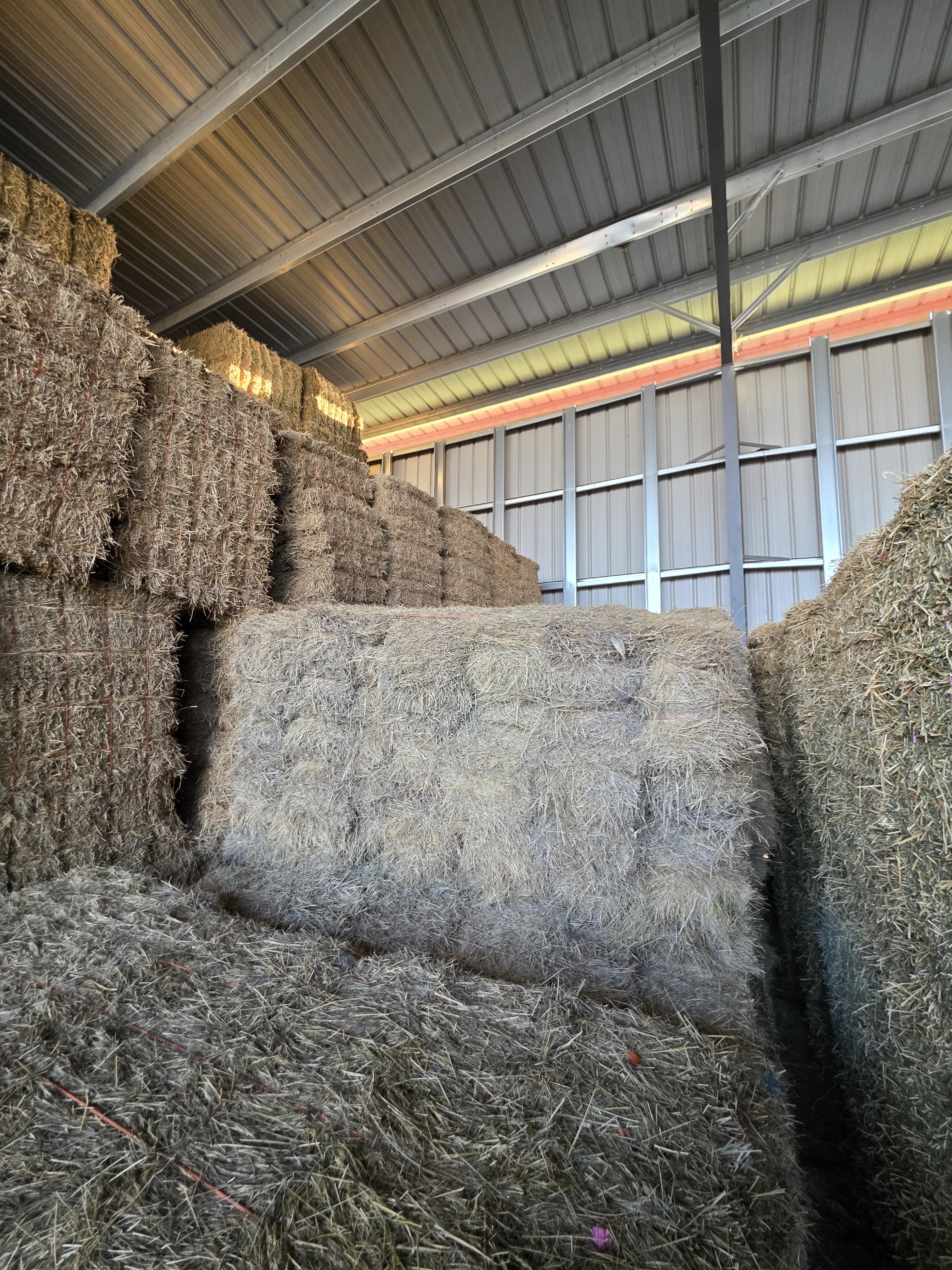 520 Small Square Bales of Alfalfa/Grass Mix – Image 8