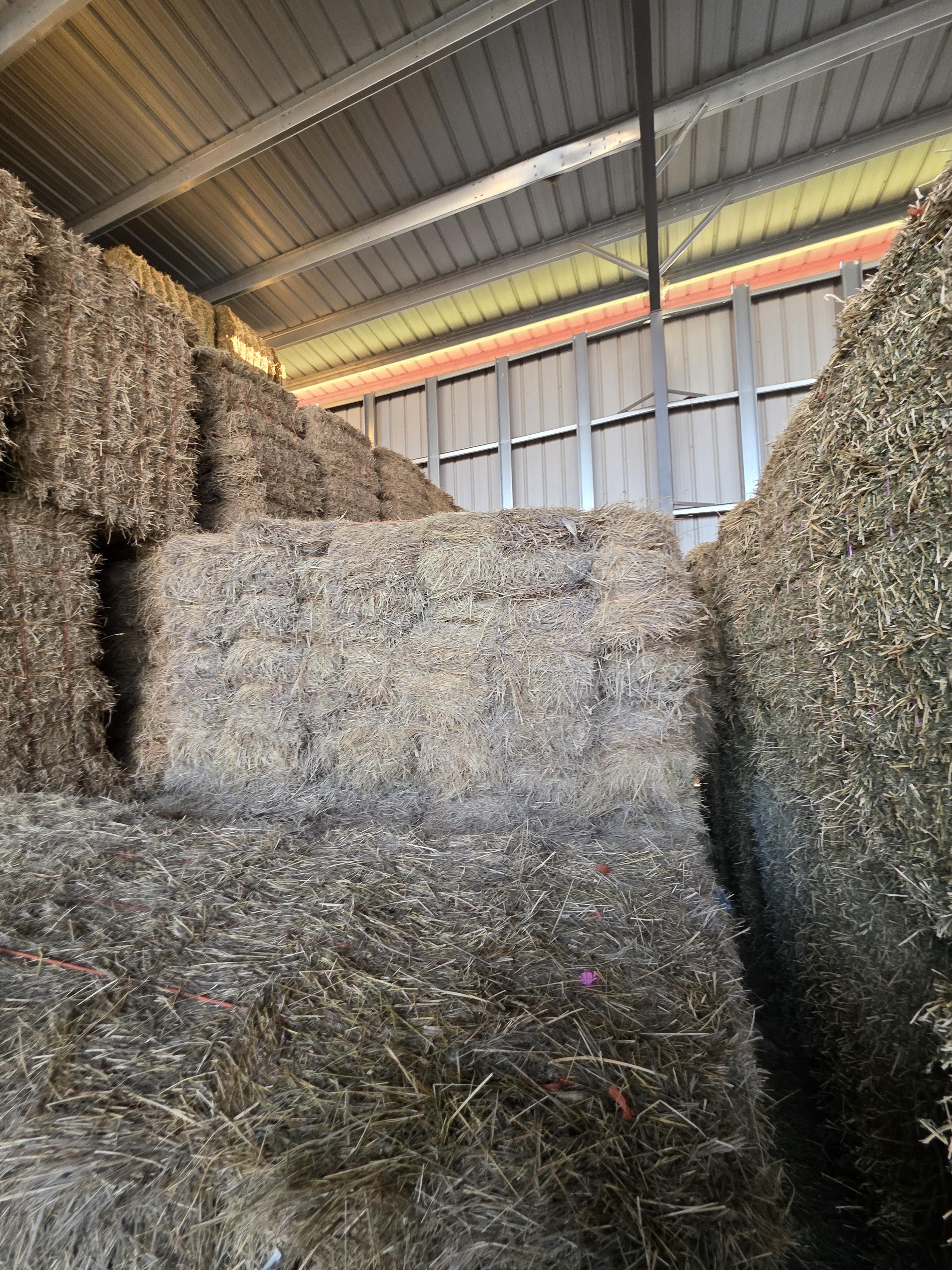 520 Small Square Bales of Alfalfa/Grass Mix – Image 5