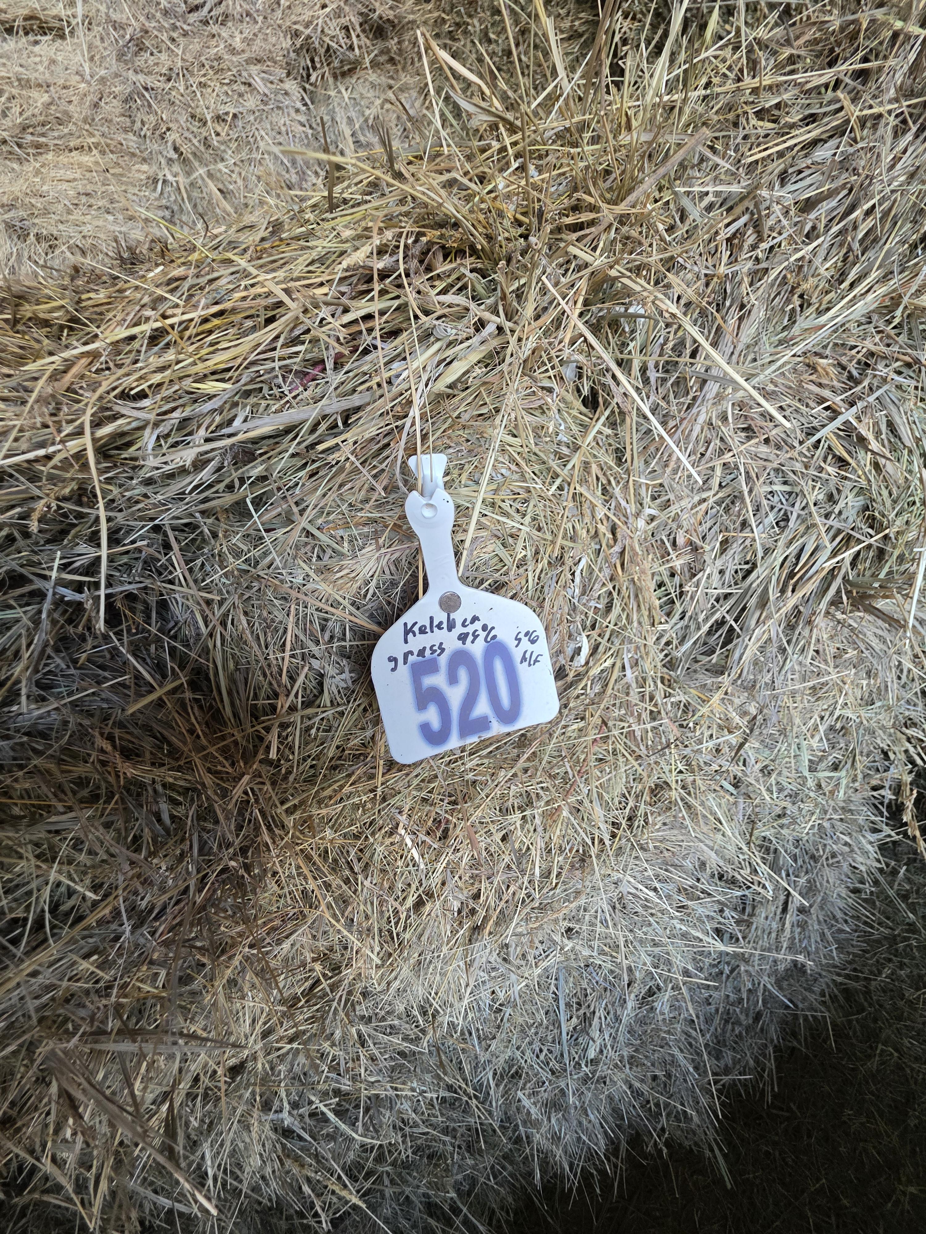 520 Small Square Bales of Alfalfa/Grass Mix – Image 3