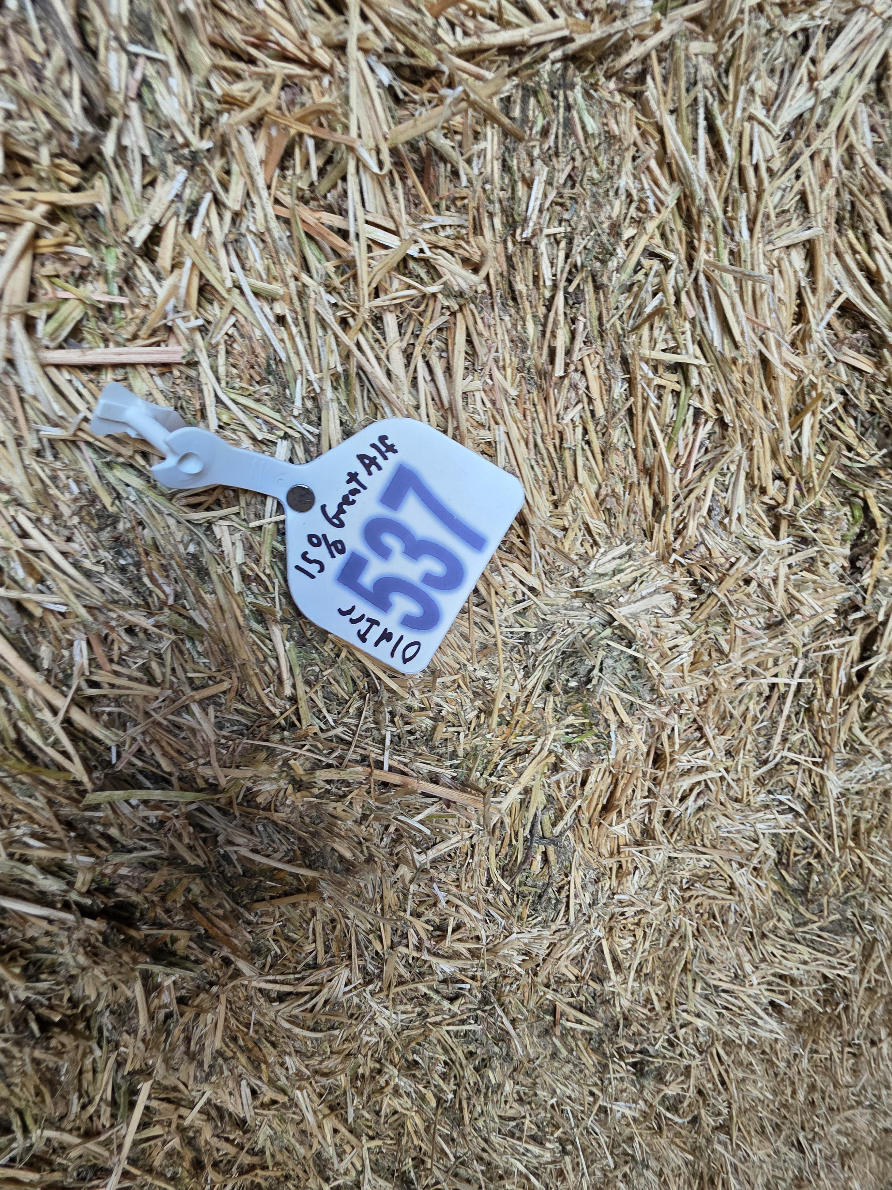 537 3 x 4 Large Squares Alfalfa – Image 5