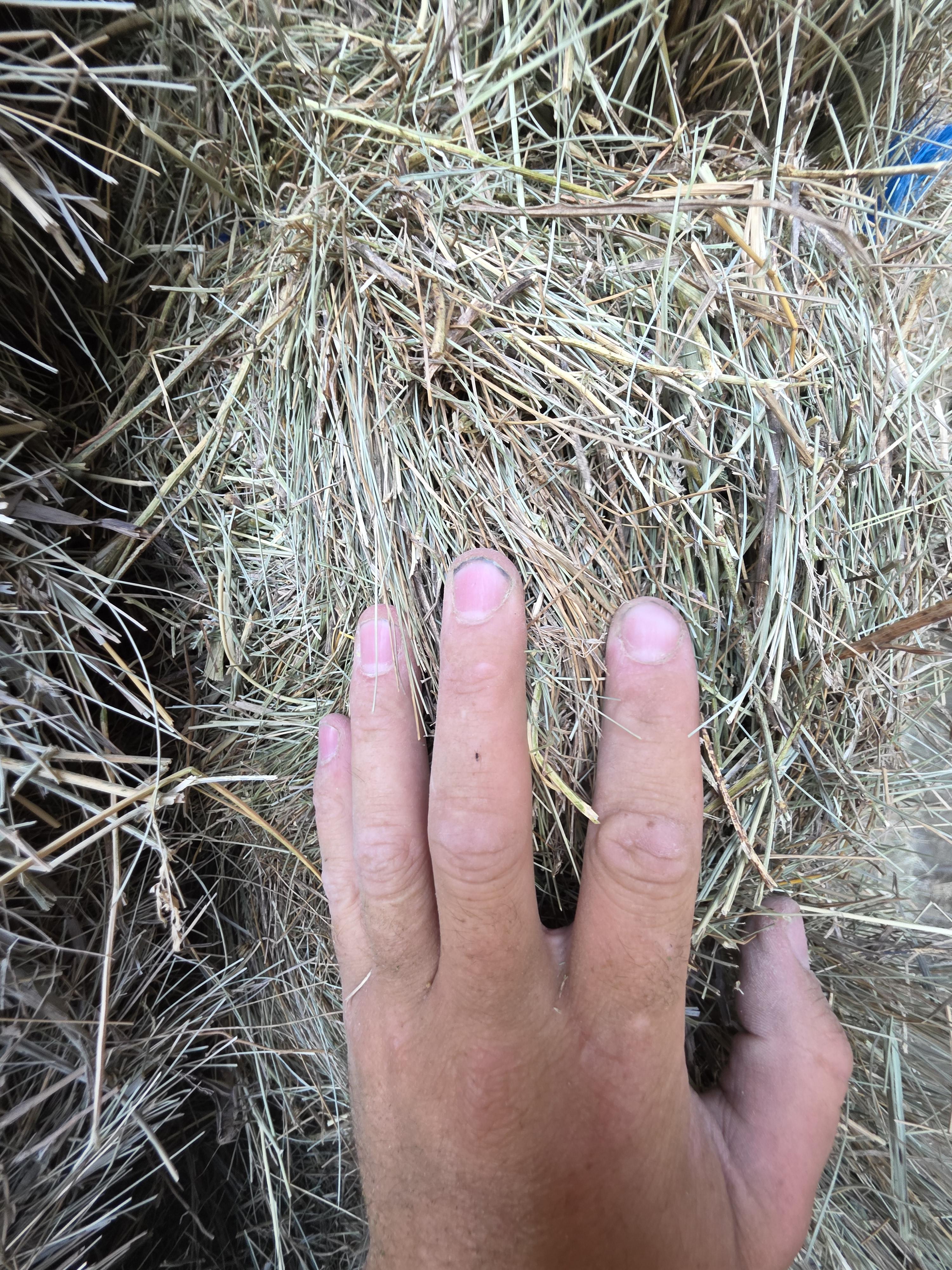 214/548 Small Square Grass Bundles – Image 10
