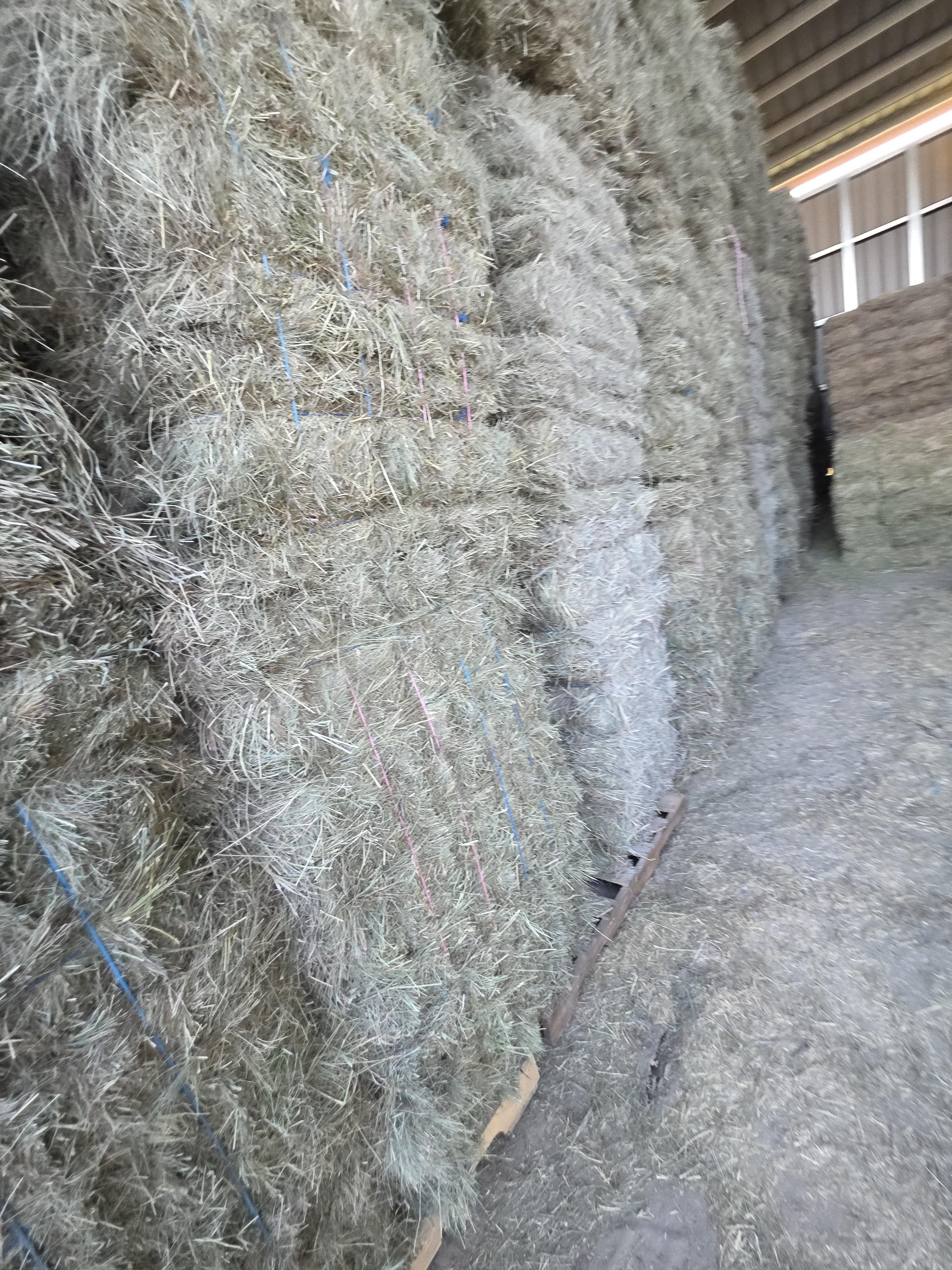 214/548 Small Square Grass Bundles – Image 5