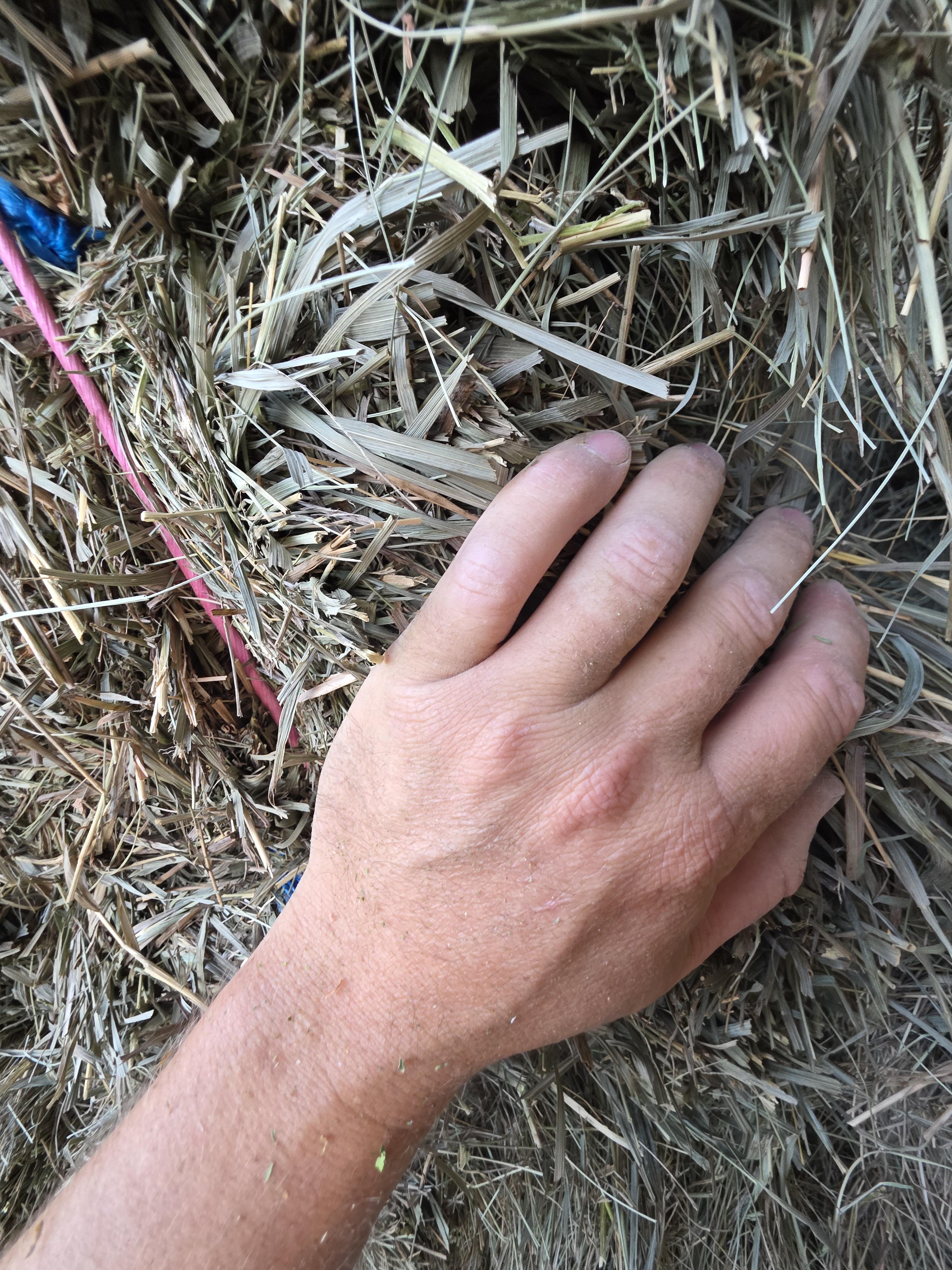214/548 Small Square Grass Bundles – Image 2