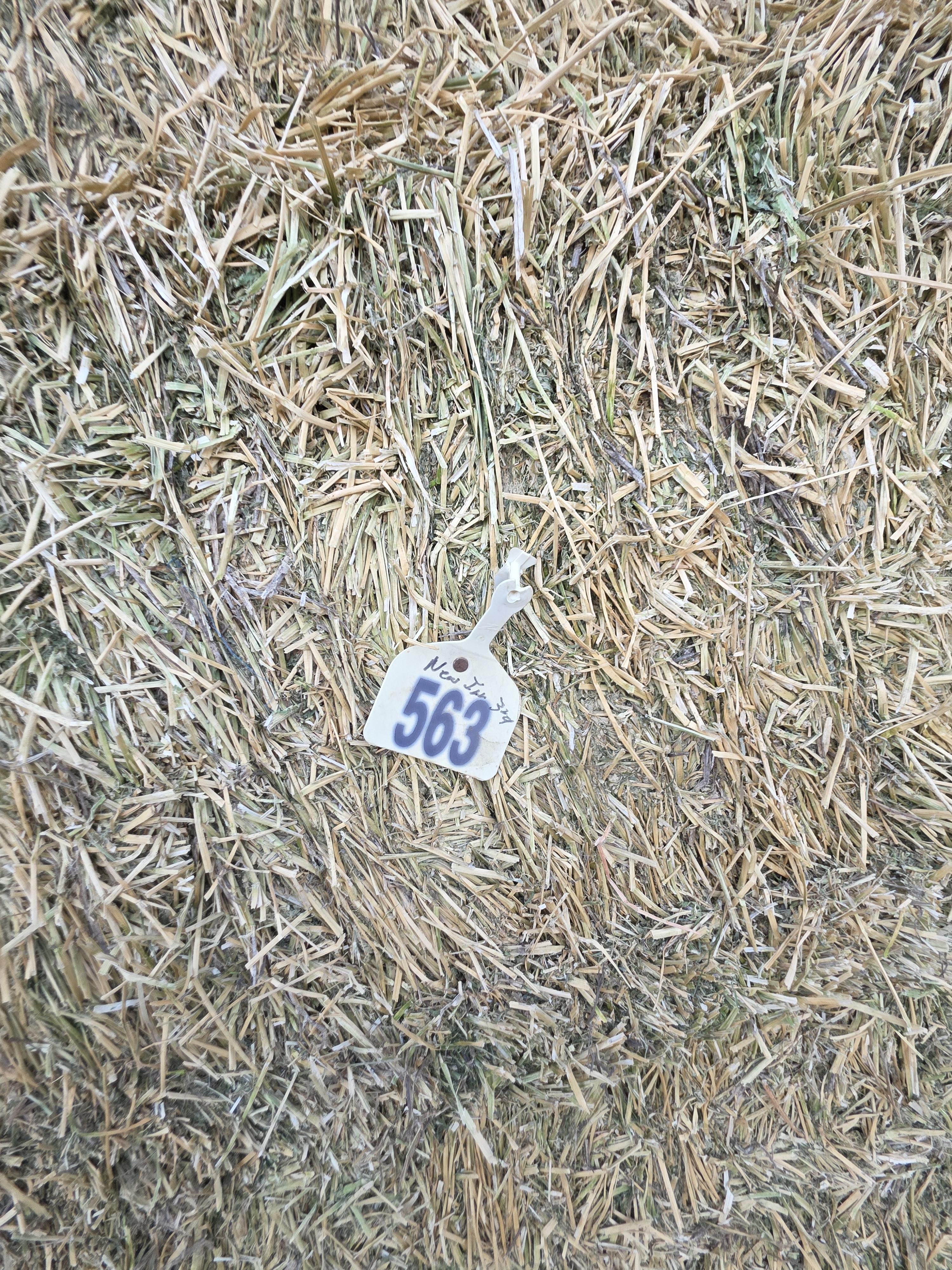 477/563 Large Square Alfalfa – Image 7