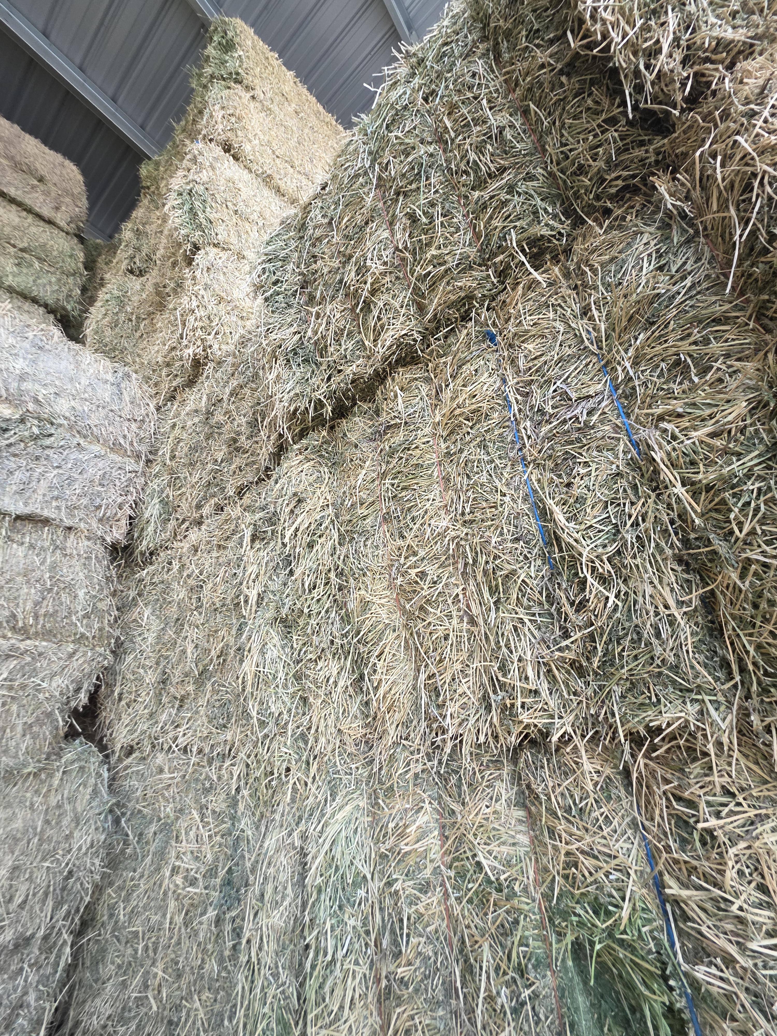 477/563 Large Square Alfalfa – Image 6