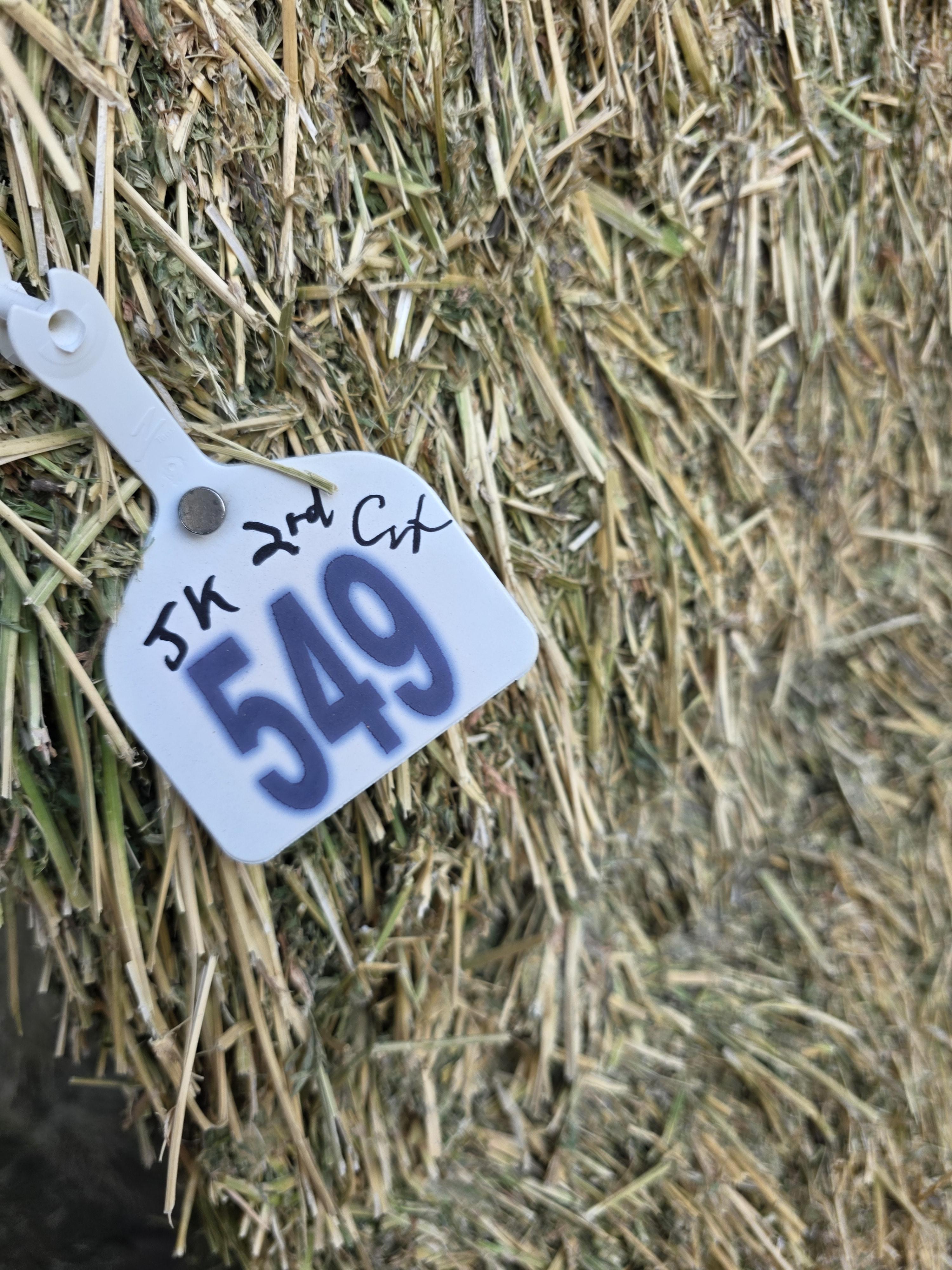 549 Large Square Horse Quality Alfalfa – Image 5