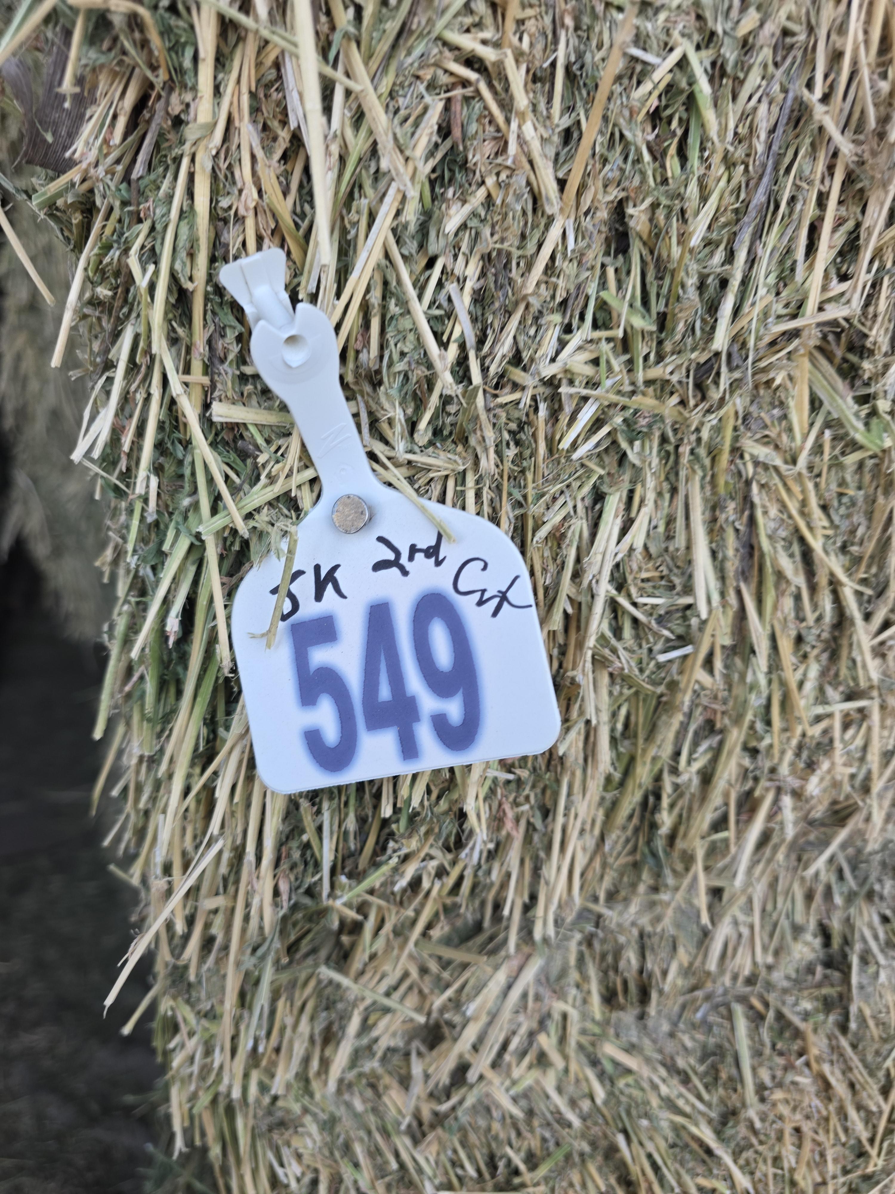 549 Large Square Horse Quality Alfalfa – Image 8