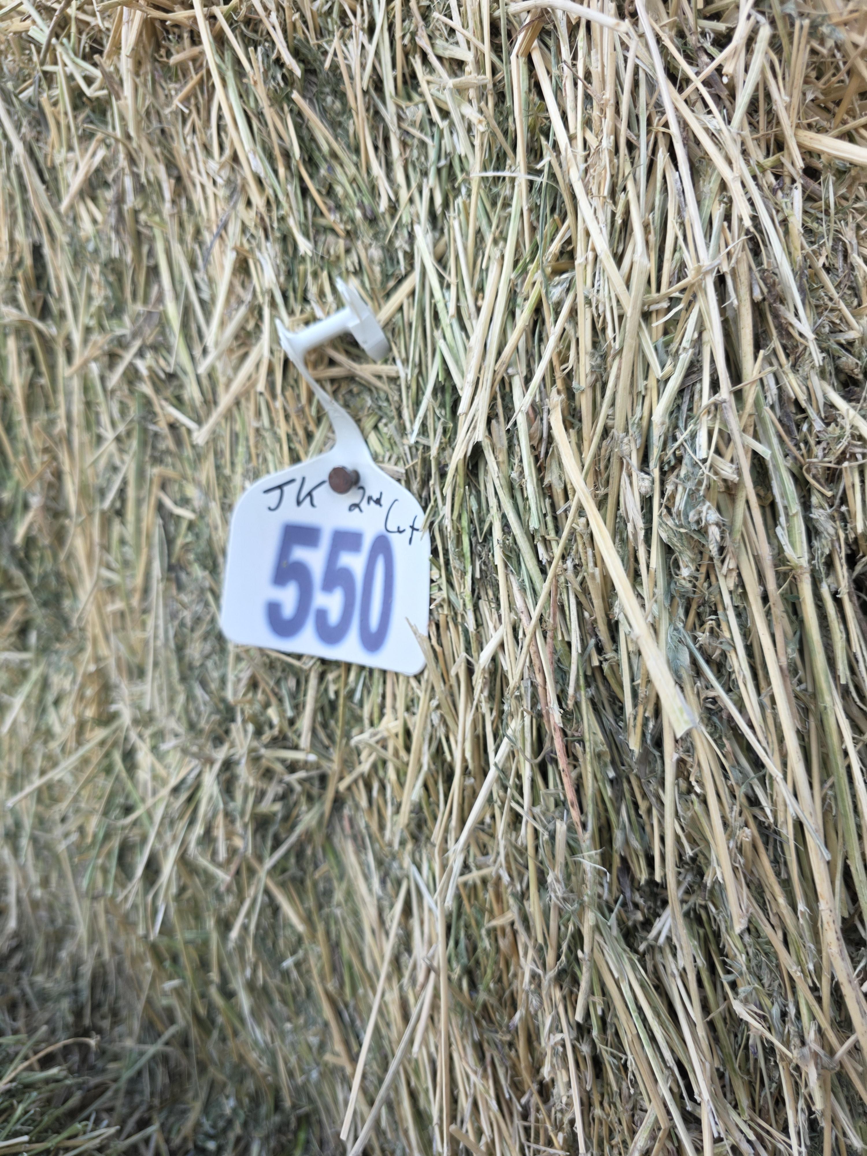 550 3 x 4 x 8 Alfalfa Large Square Bales – Image 4